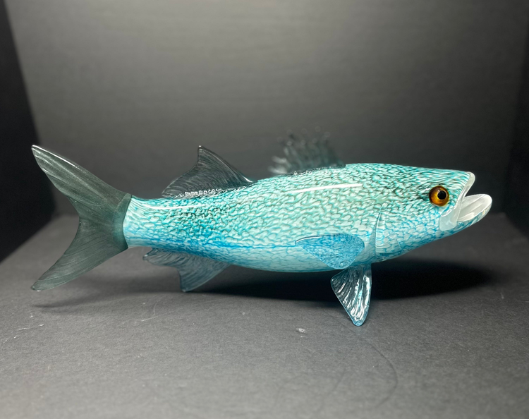 Fish