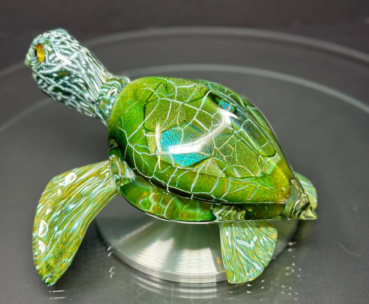 Turtles