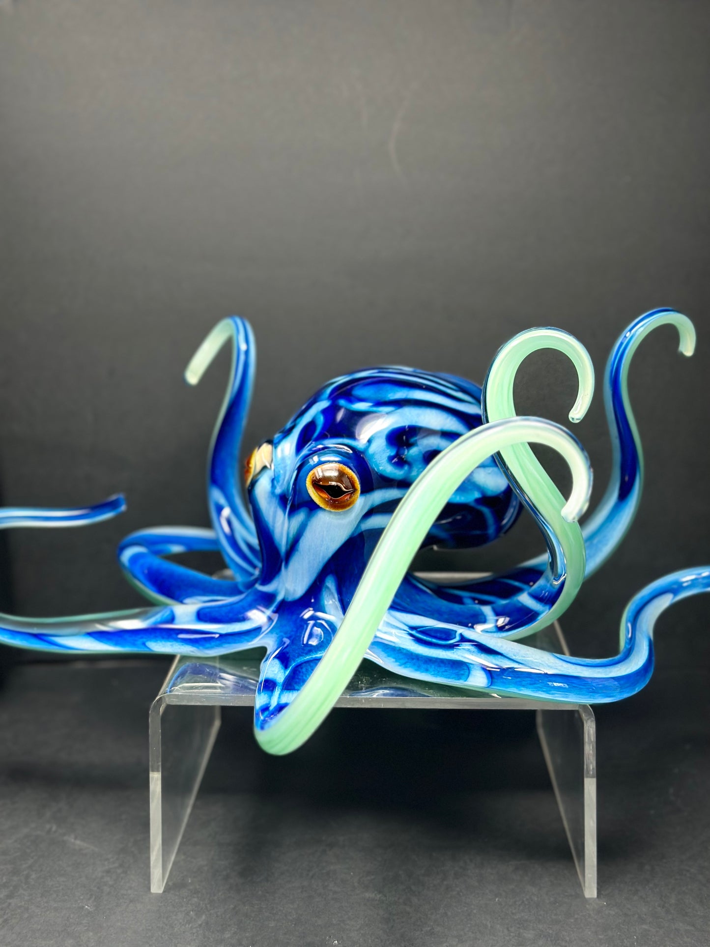 Brilliant Blue Octopus
