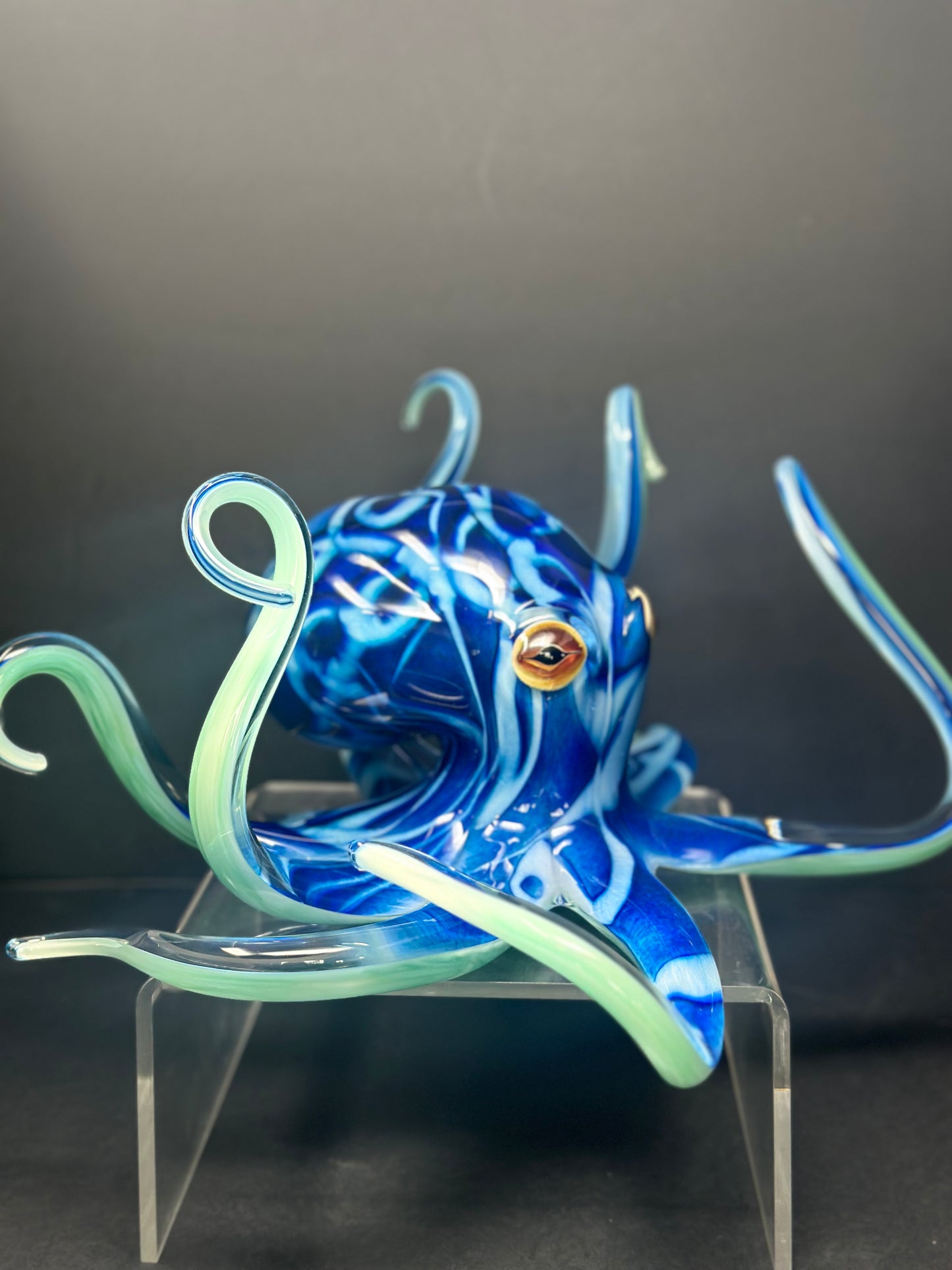Brilliant Blue Octopus