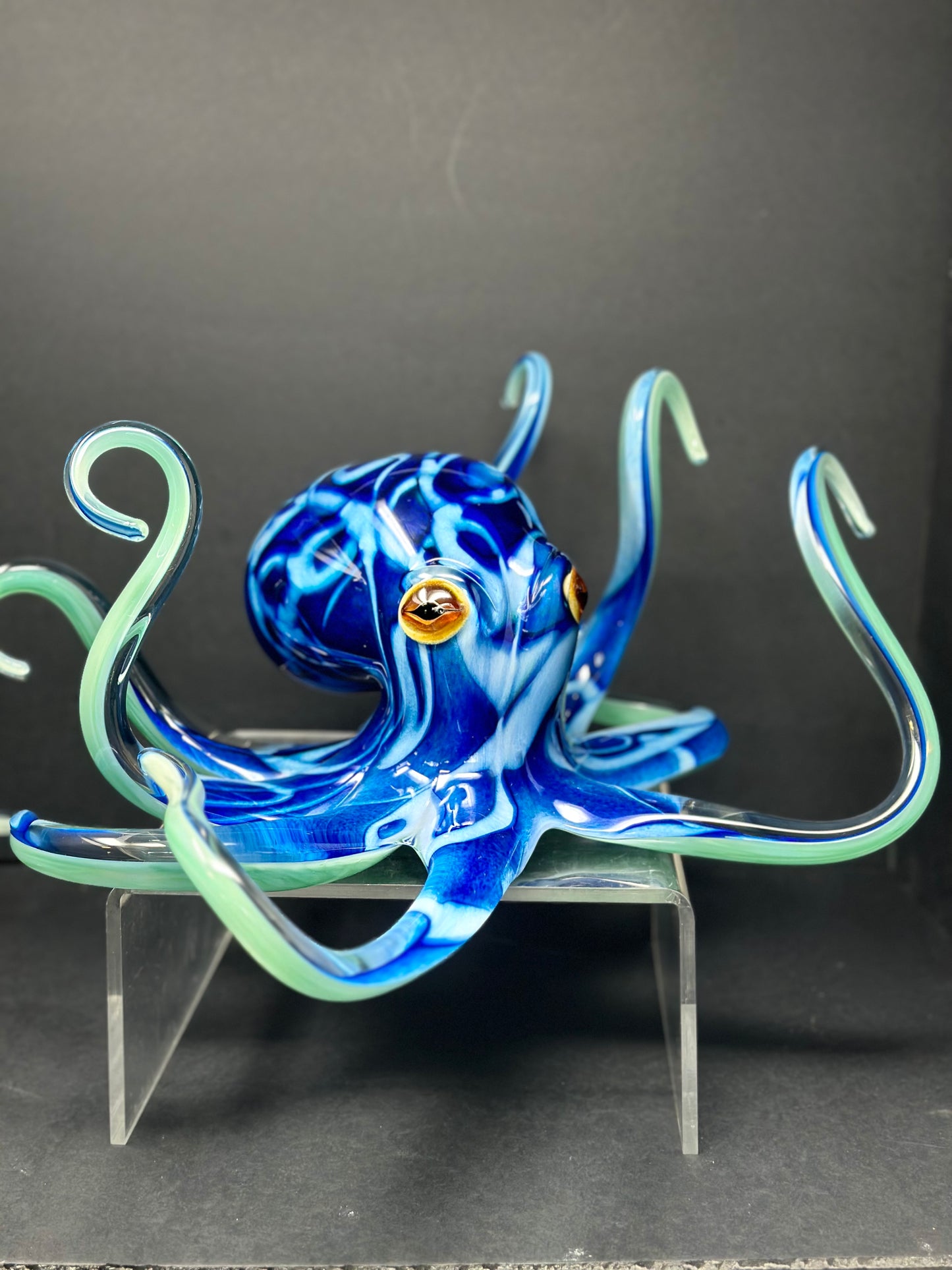 Brilliant Blue Octopus