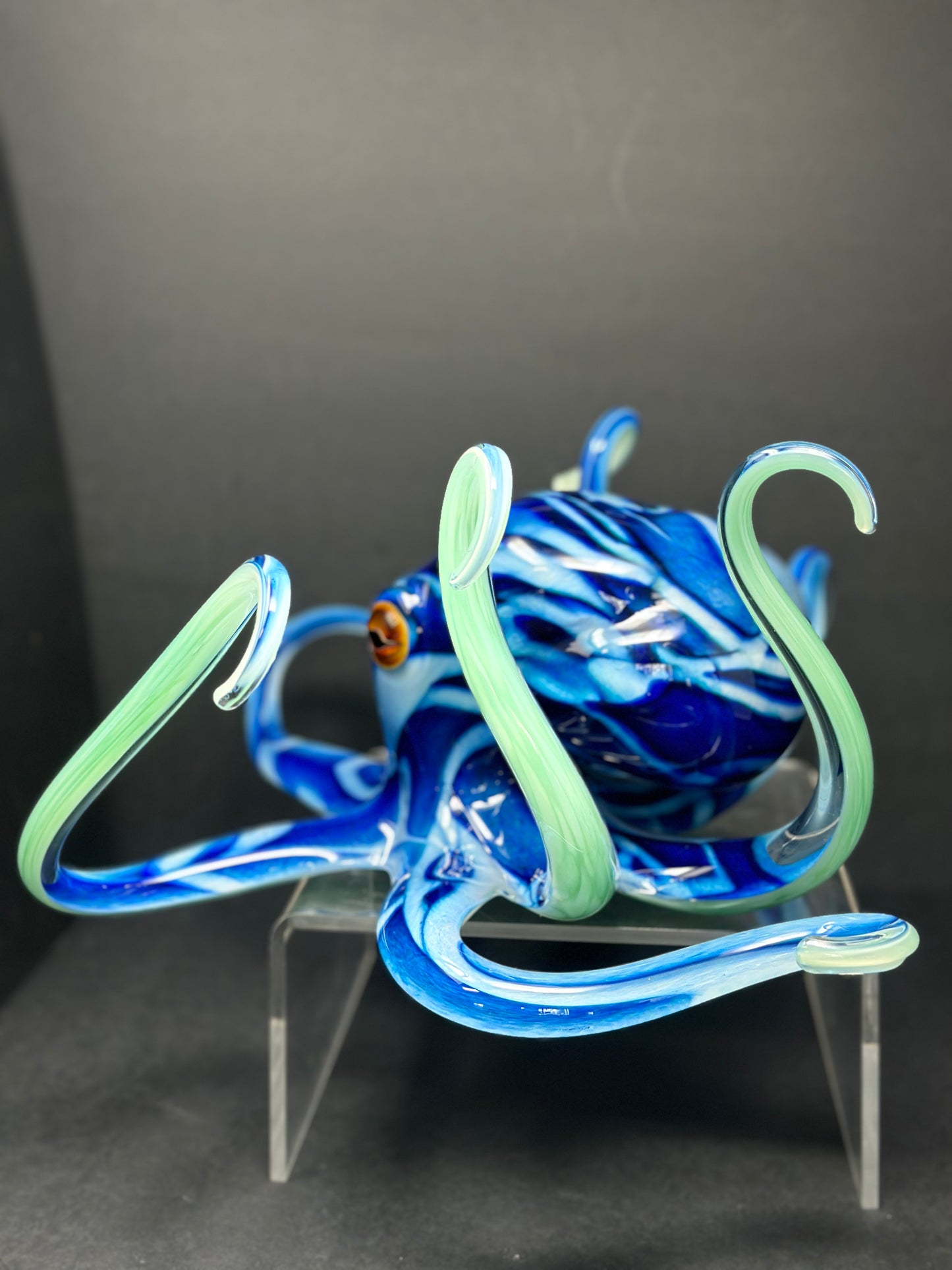 Brilliant Blue Octopus