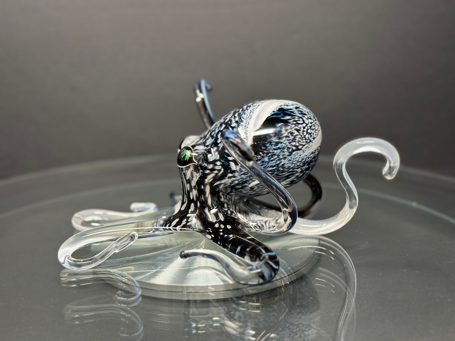 Speckled black and white octopus on grey background