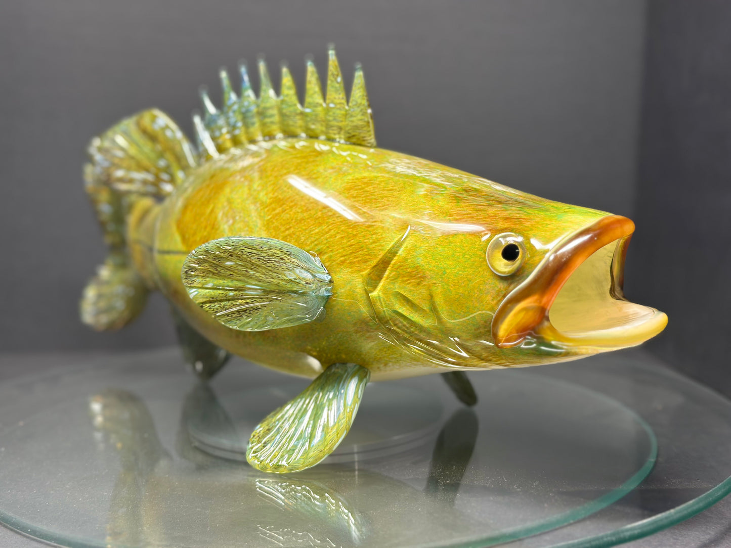 Goliath Grouper
