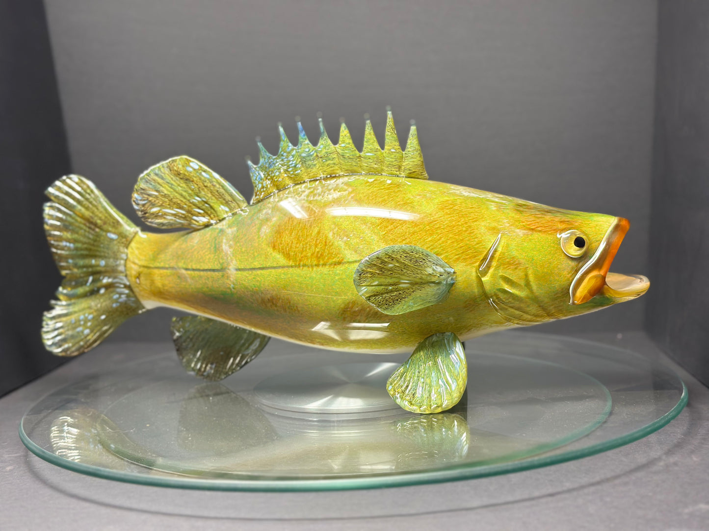 Goliath Grouper