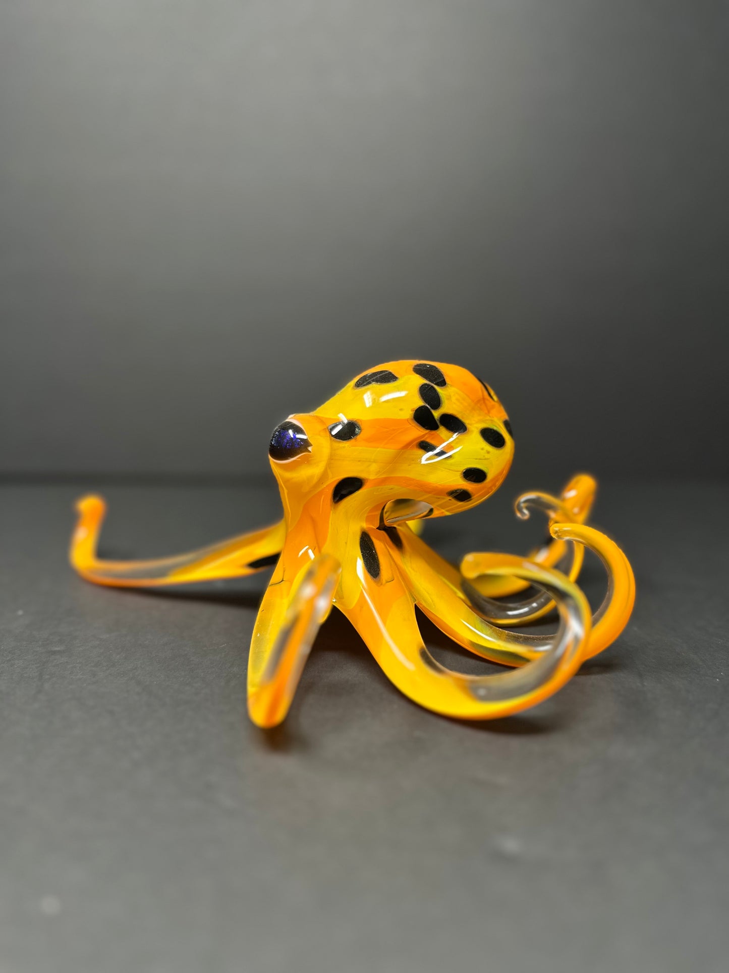 Orange Lemon Octopus