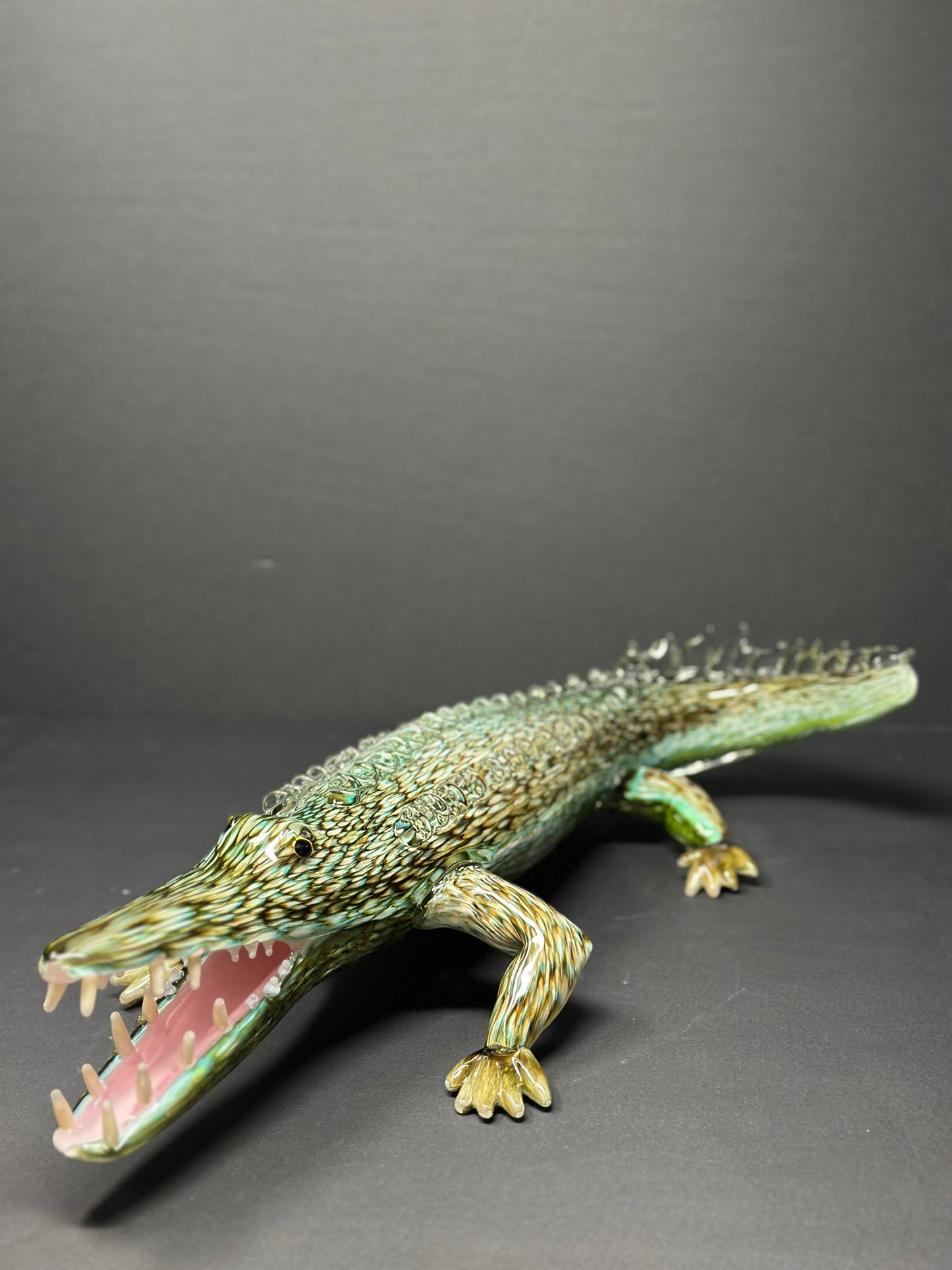 Alligator