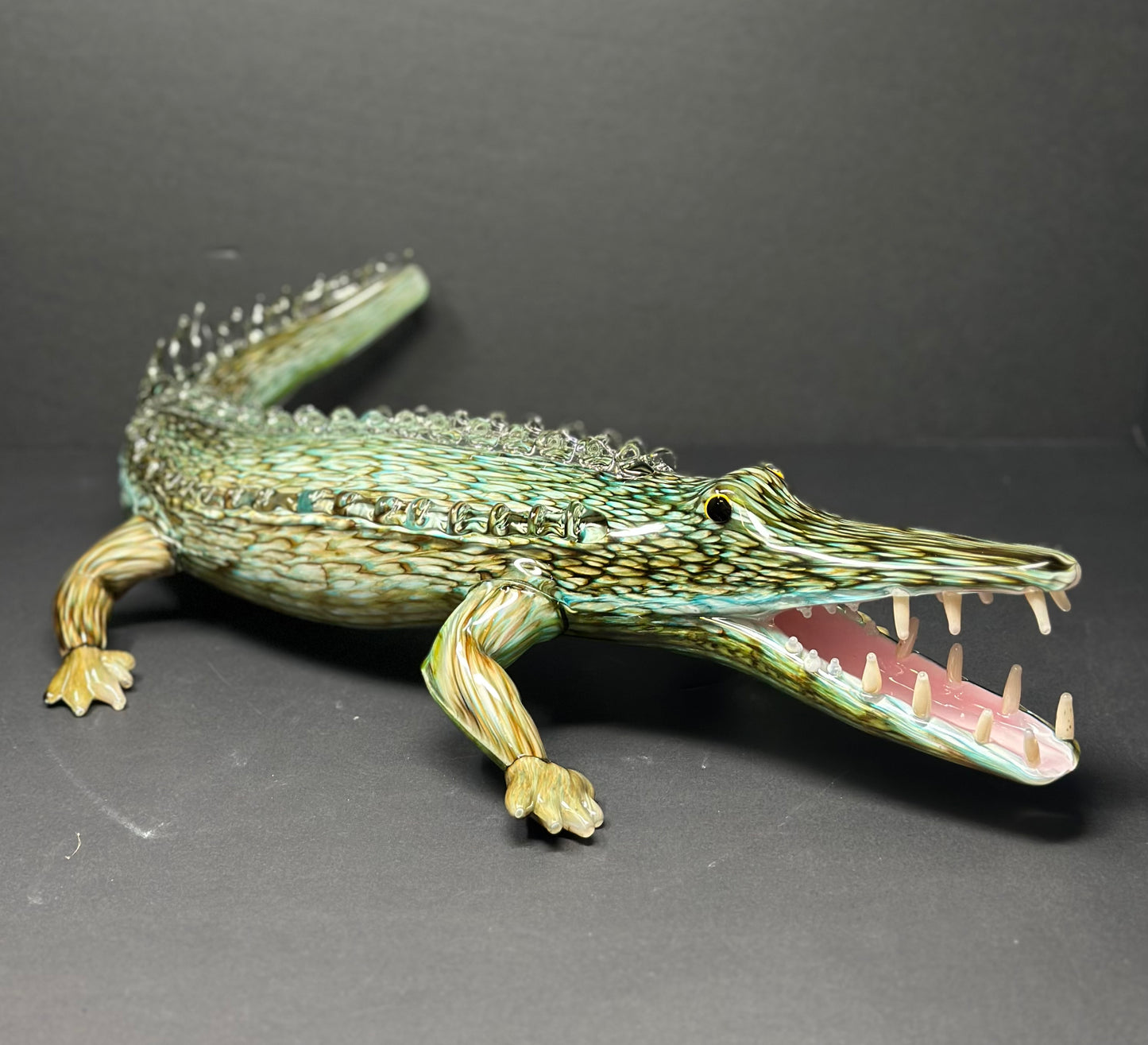 Alligator