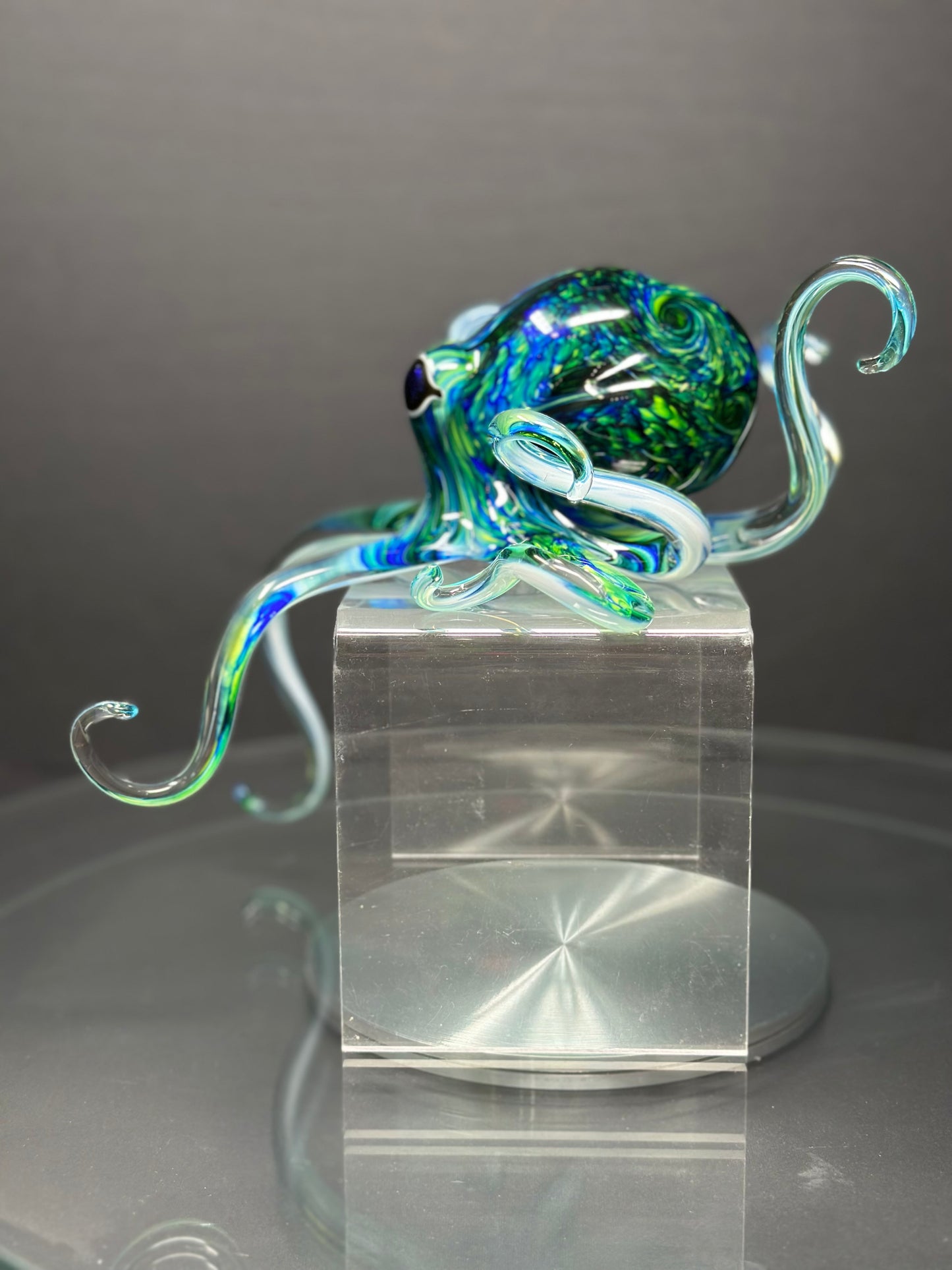 Blue Green Octopus