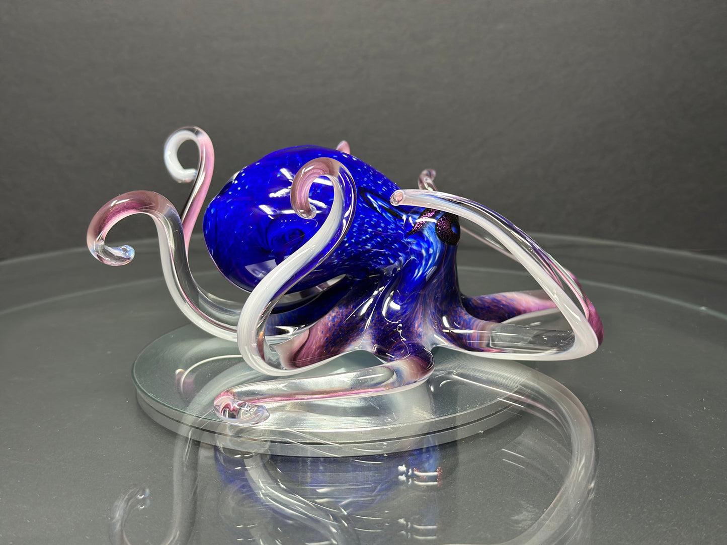Blue Purple Octopus