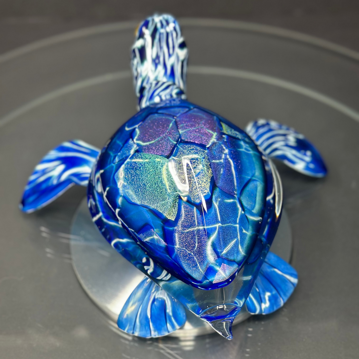 Blue Sea Turtle