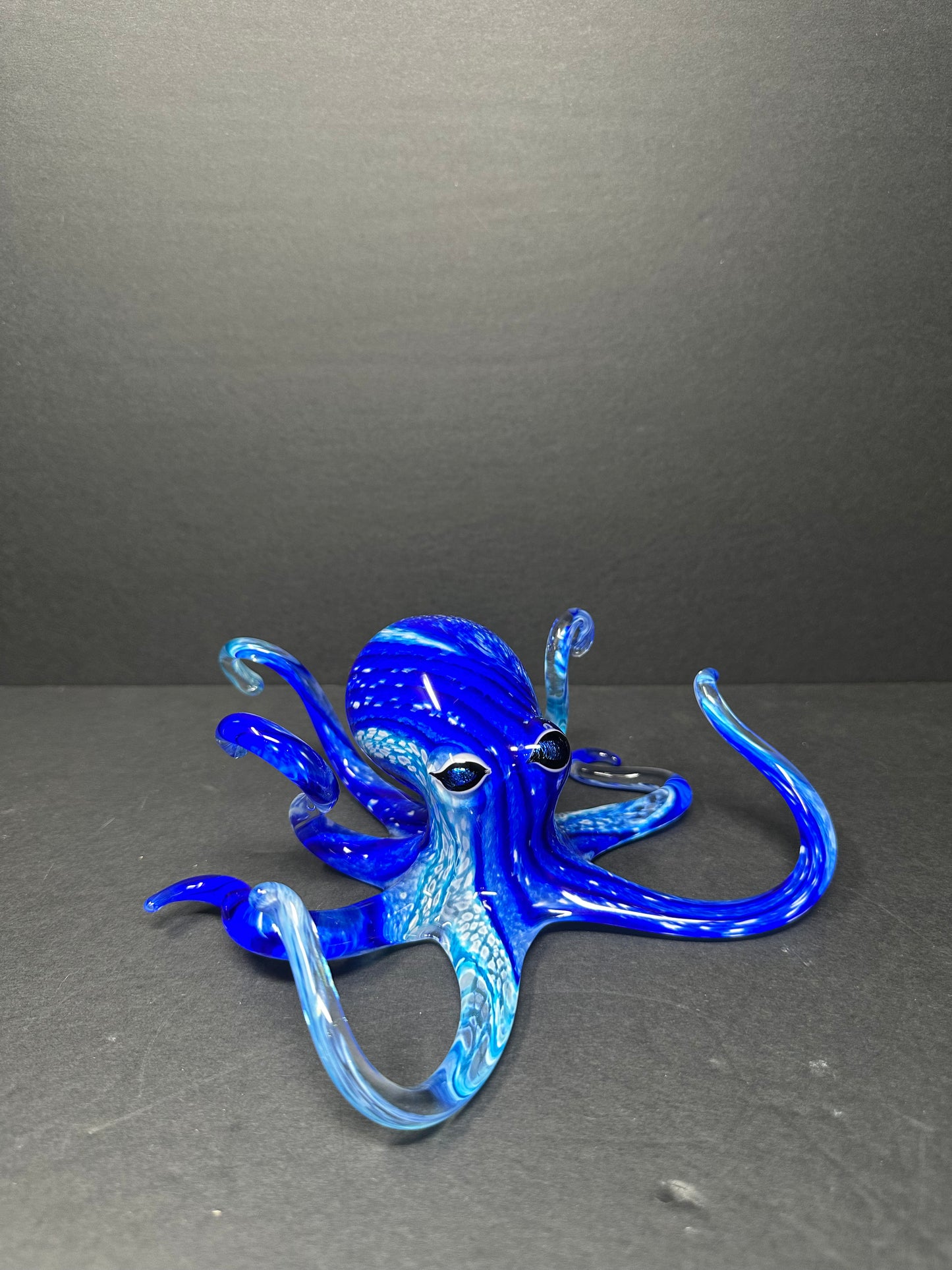 Blue Turquoise Octopus