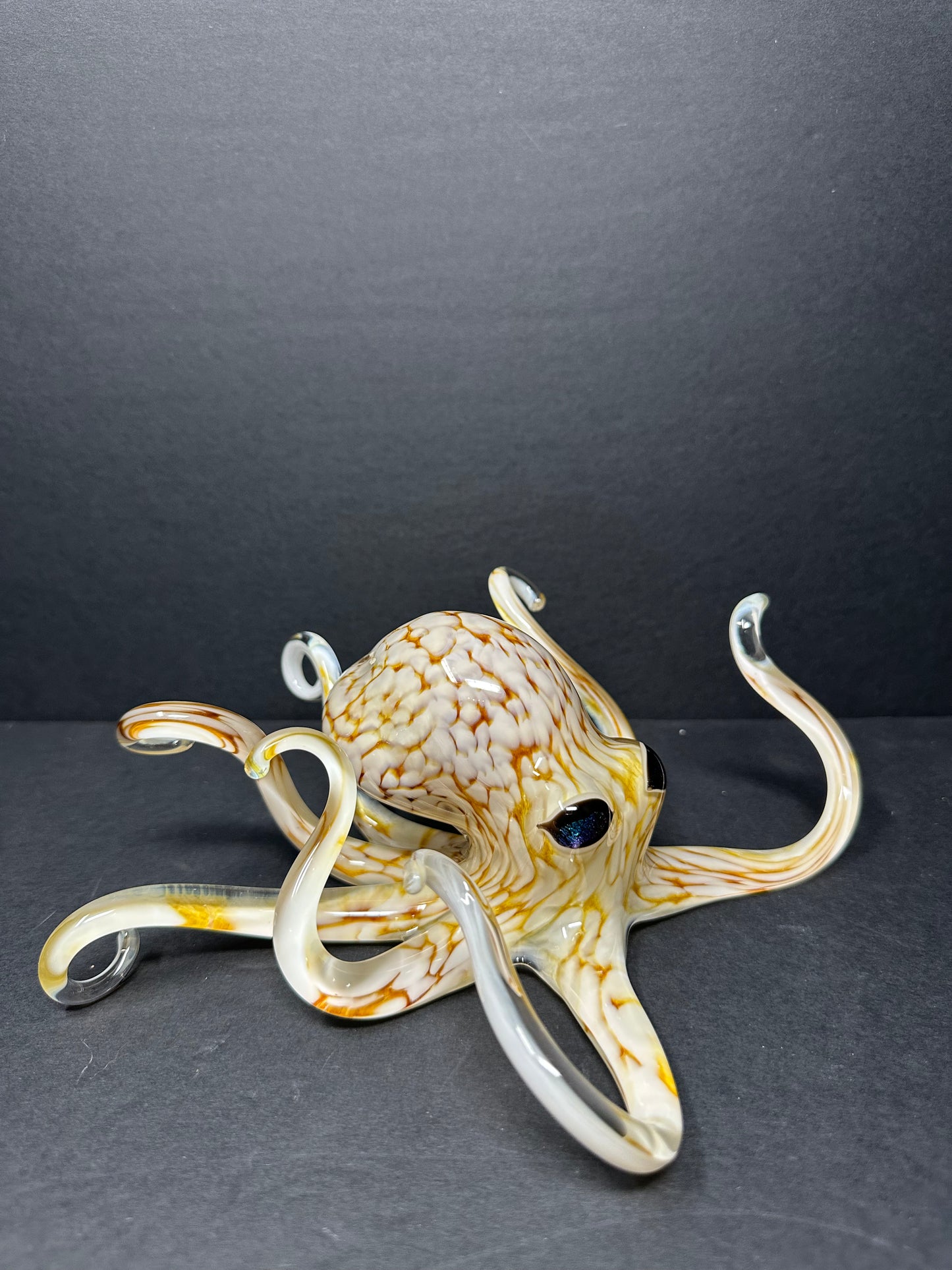 Caramel Cream Octopus