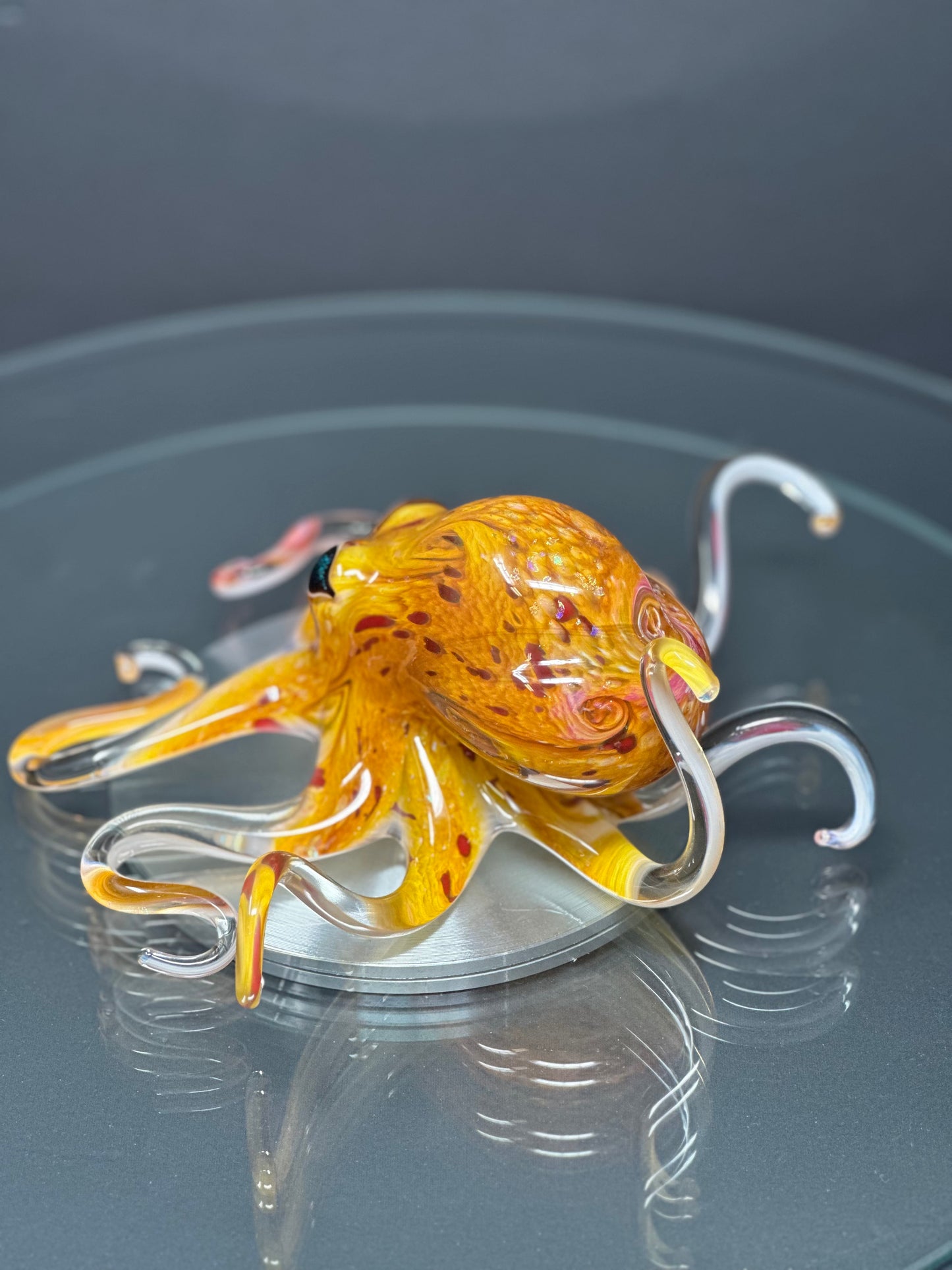 Fire Opal Octopus