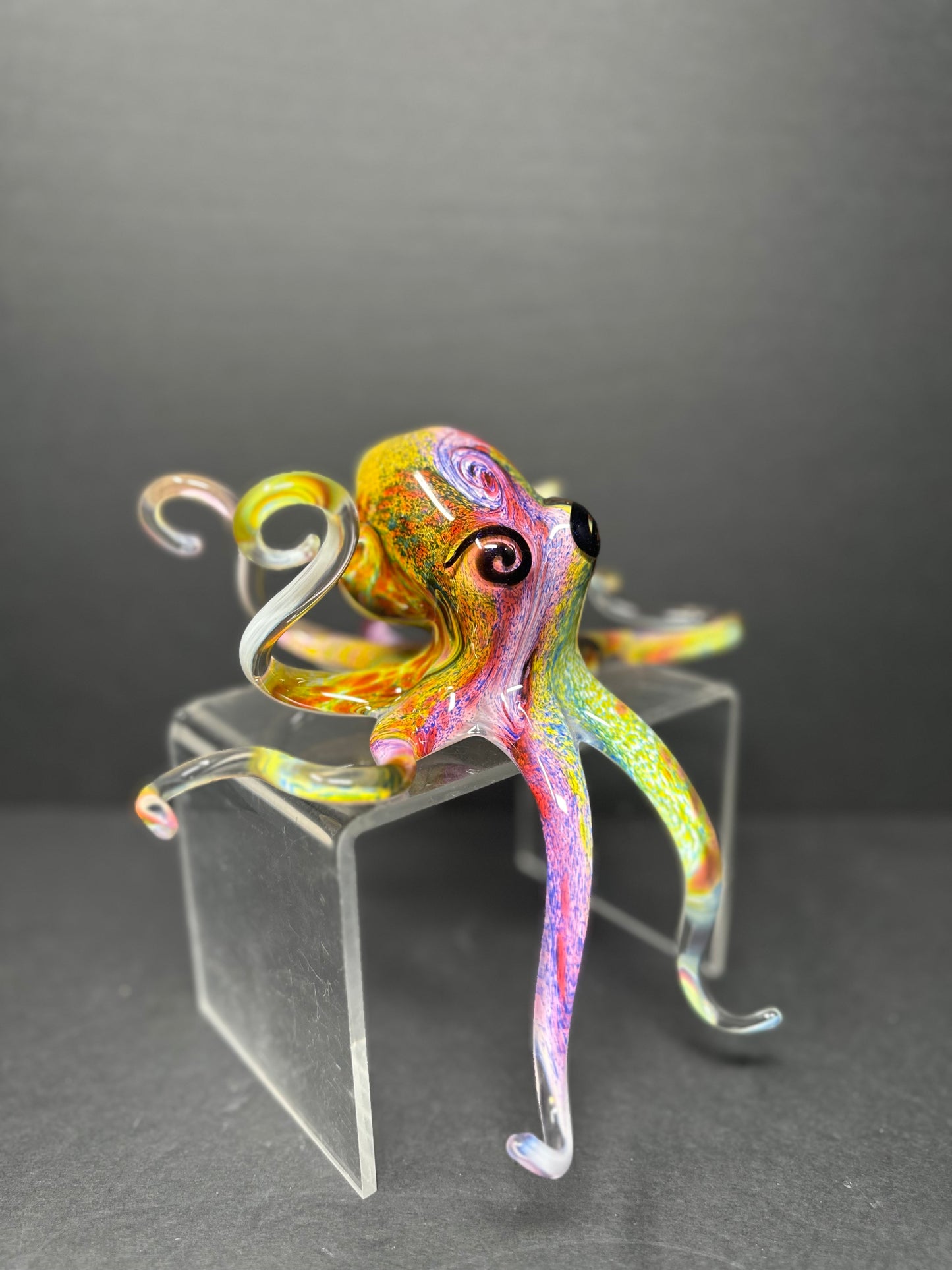 Multicolored Octopus