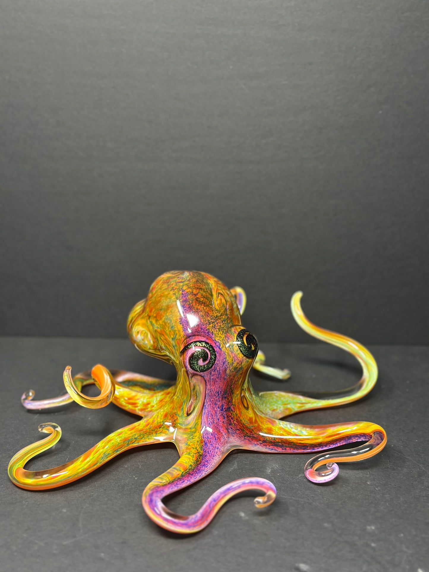 Multicolored Octopus