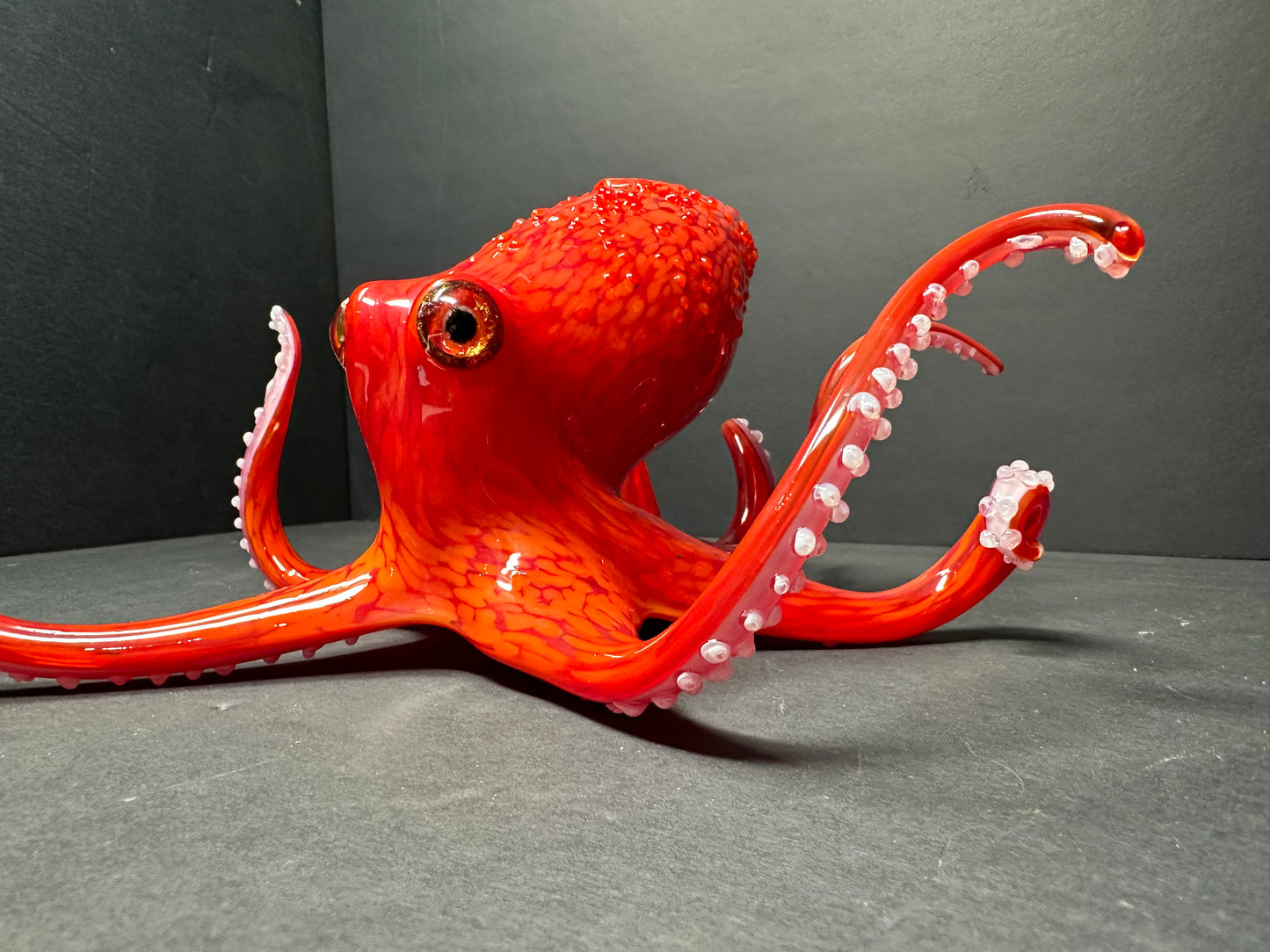 Pacific Red Octopus