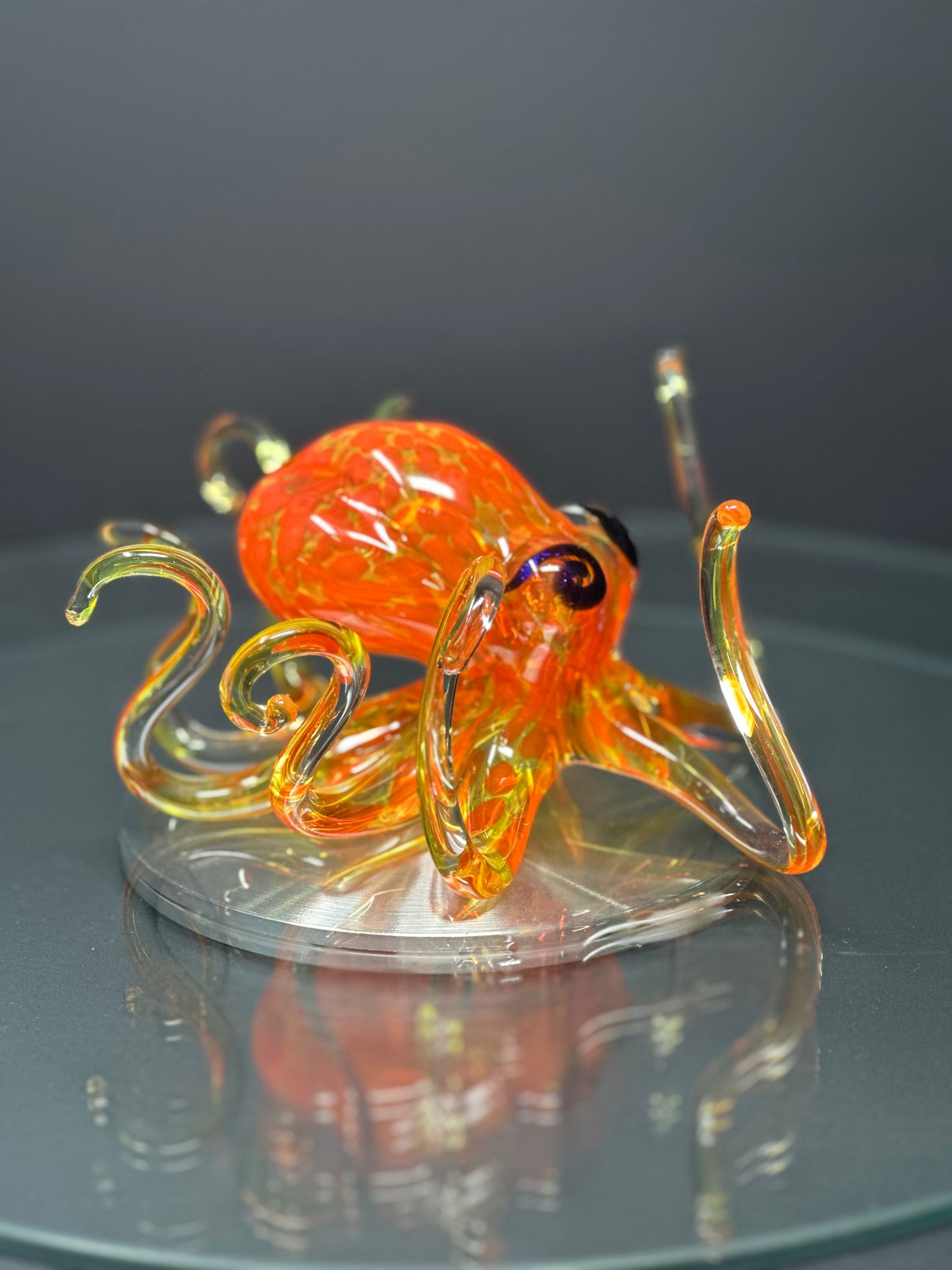 Sunburst Octopus
