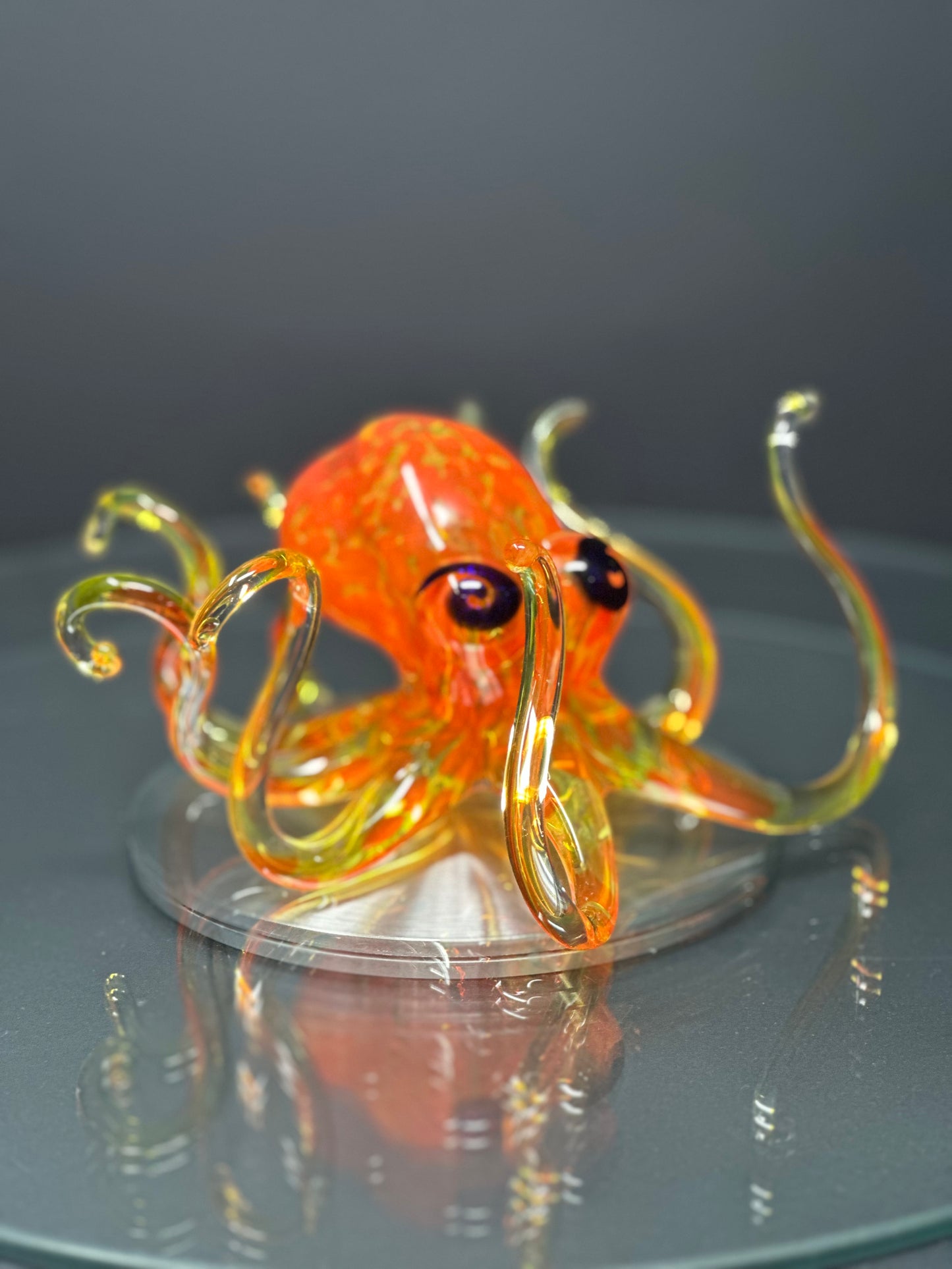 Sunburst Octopus