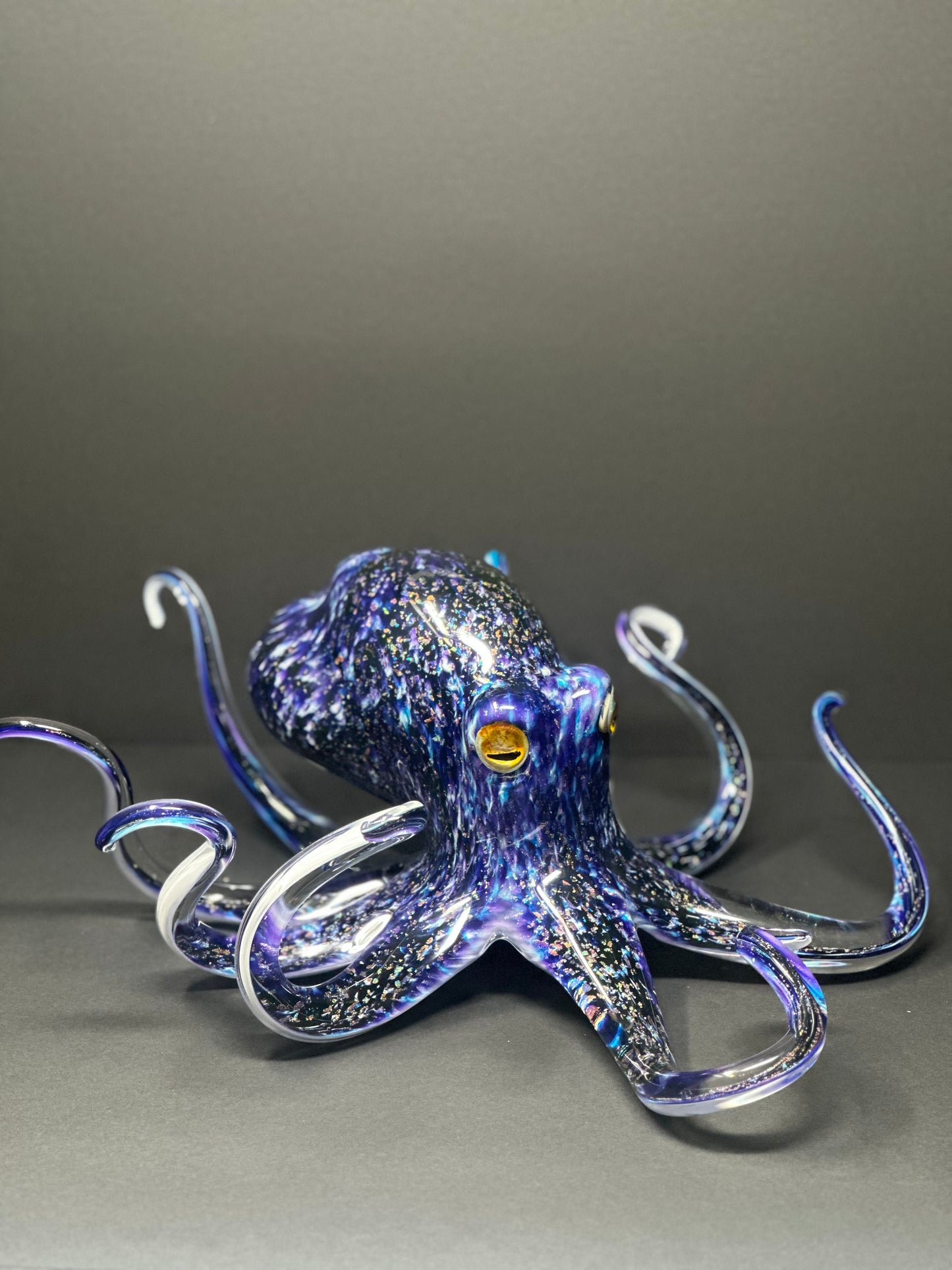 Twilight Octopus