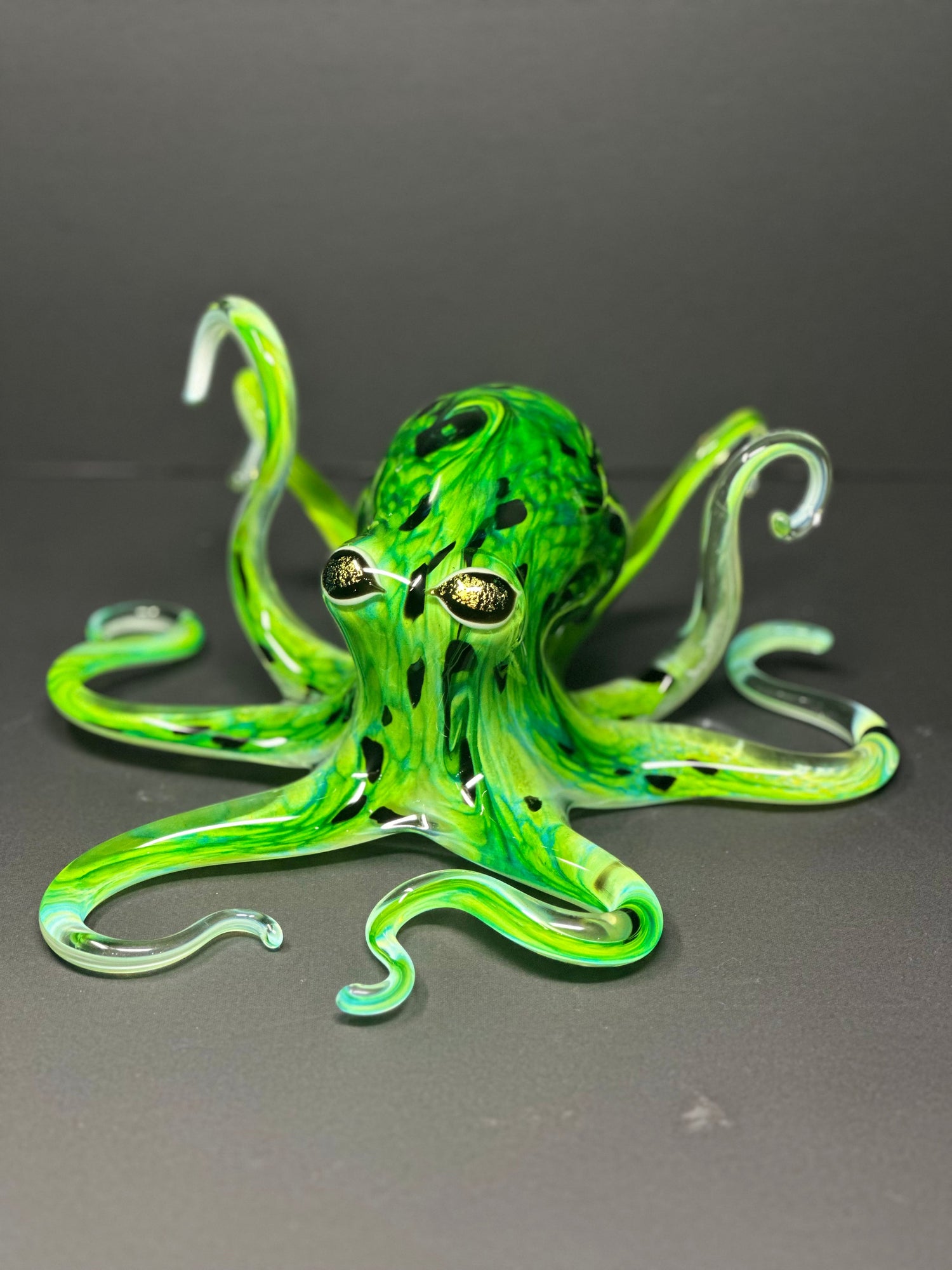 Octopus