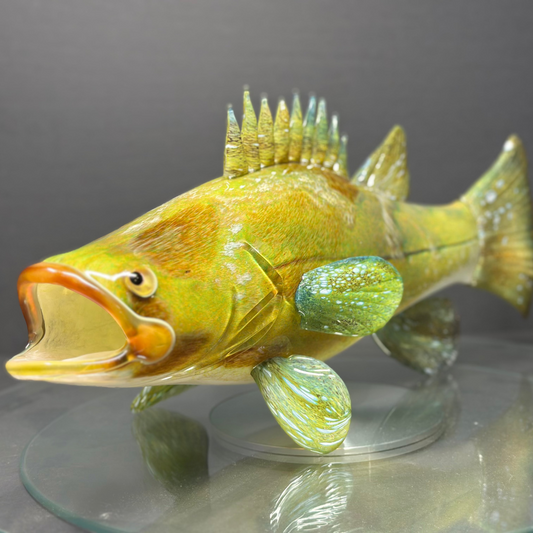 Goliath Grouper
