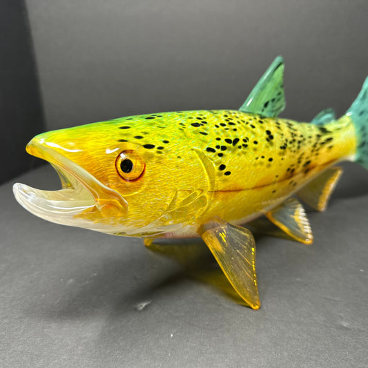 Golden Trout