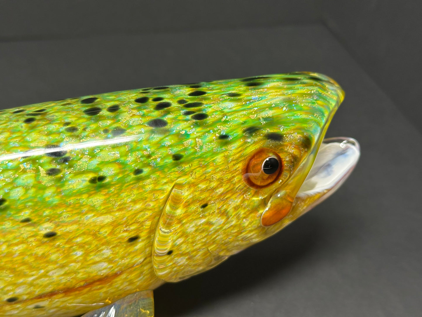 Golden Trout