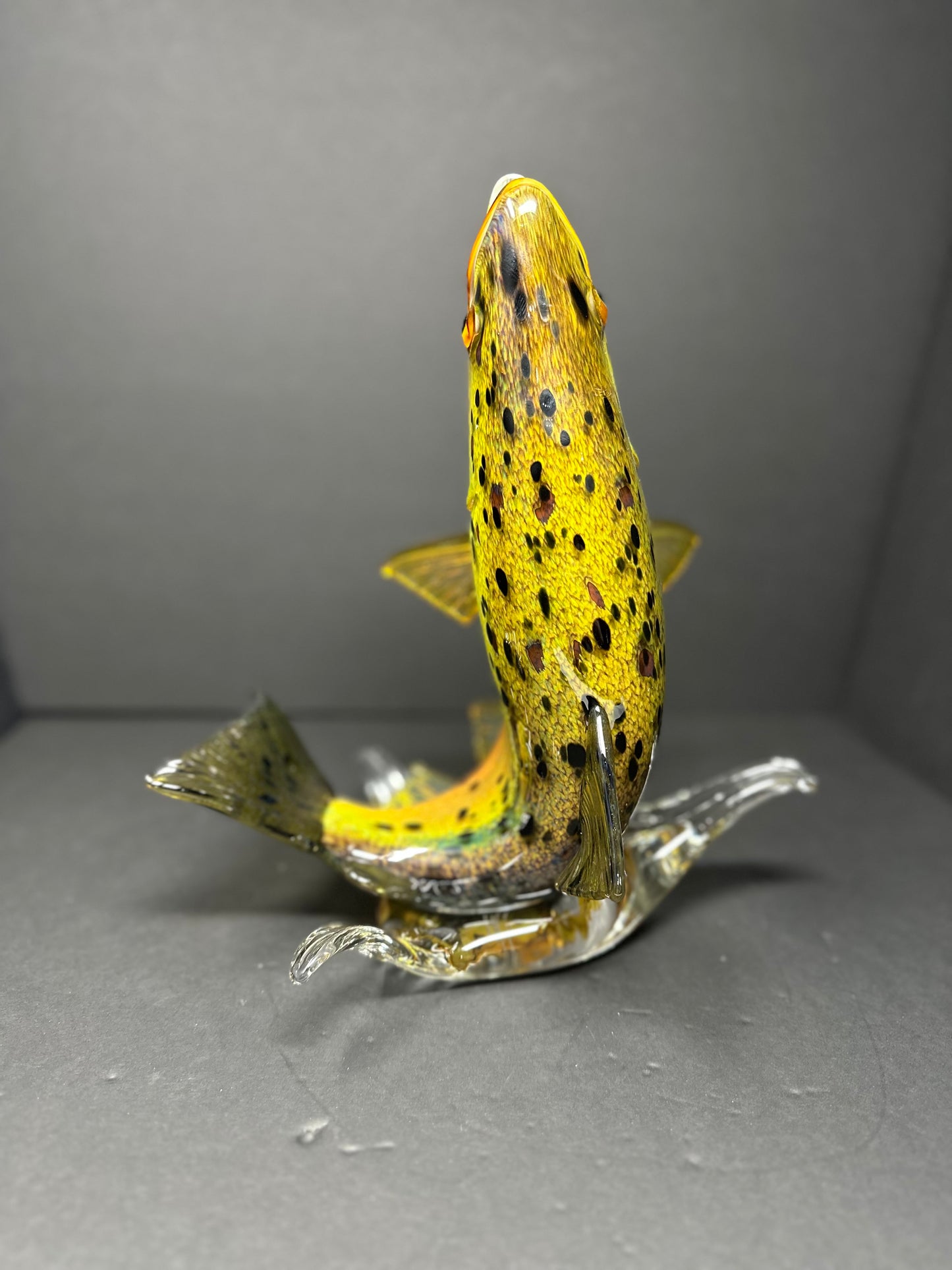 Leaping Brown Trout