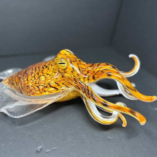 Tiger's Eye Cuttlefish