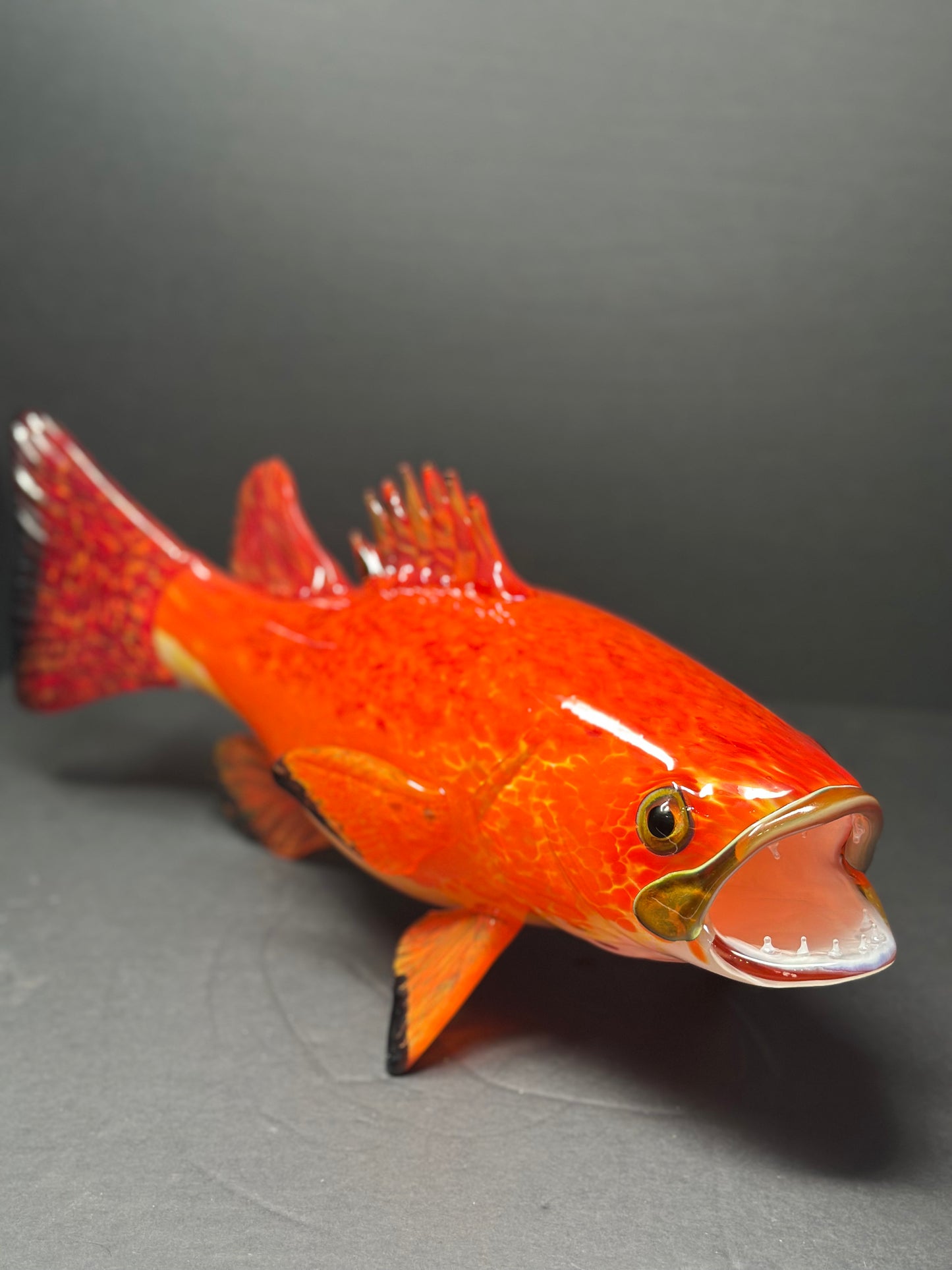 Yellow Eyed Rock Bass