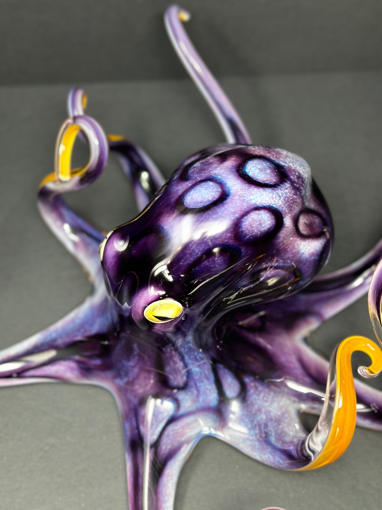 Amethyst Octopus