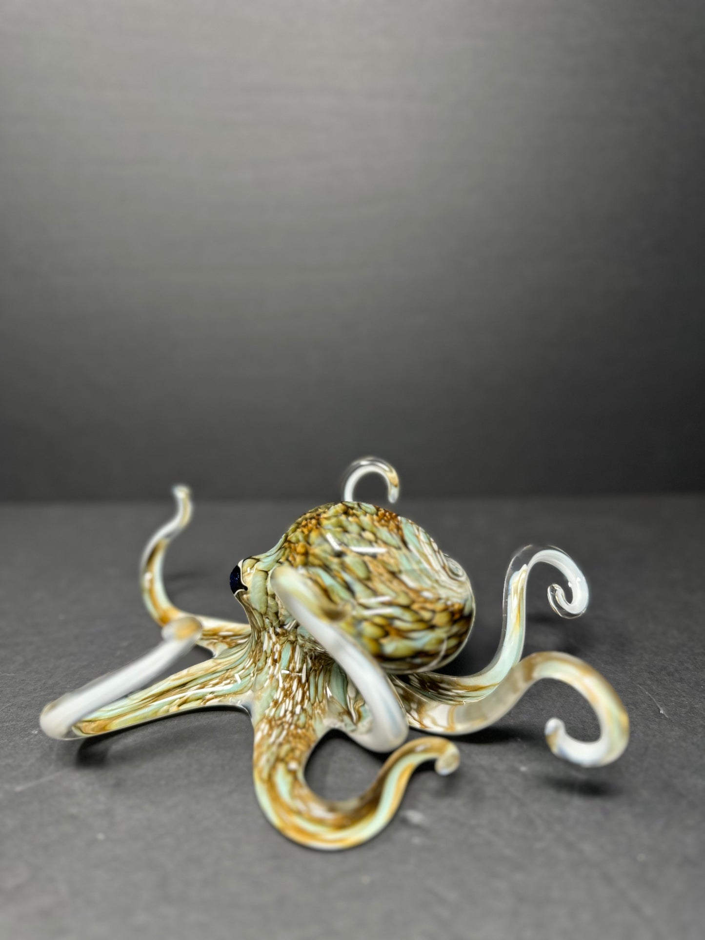 Aqua Grey Octopus