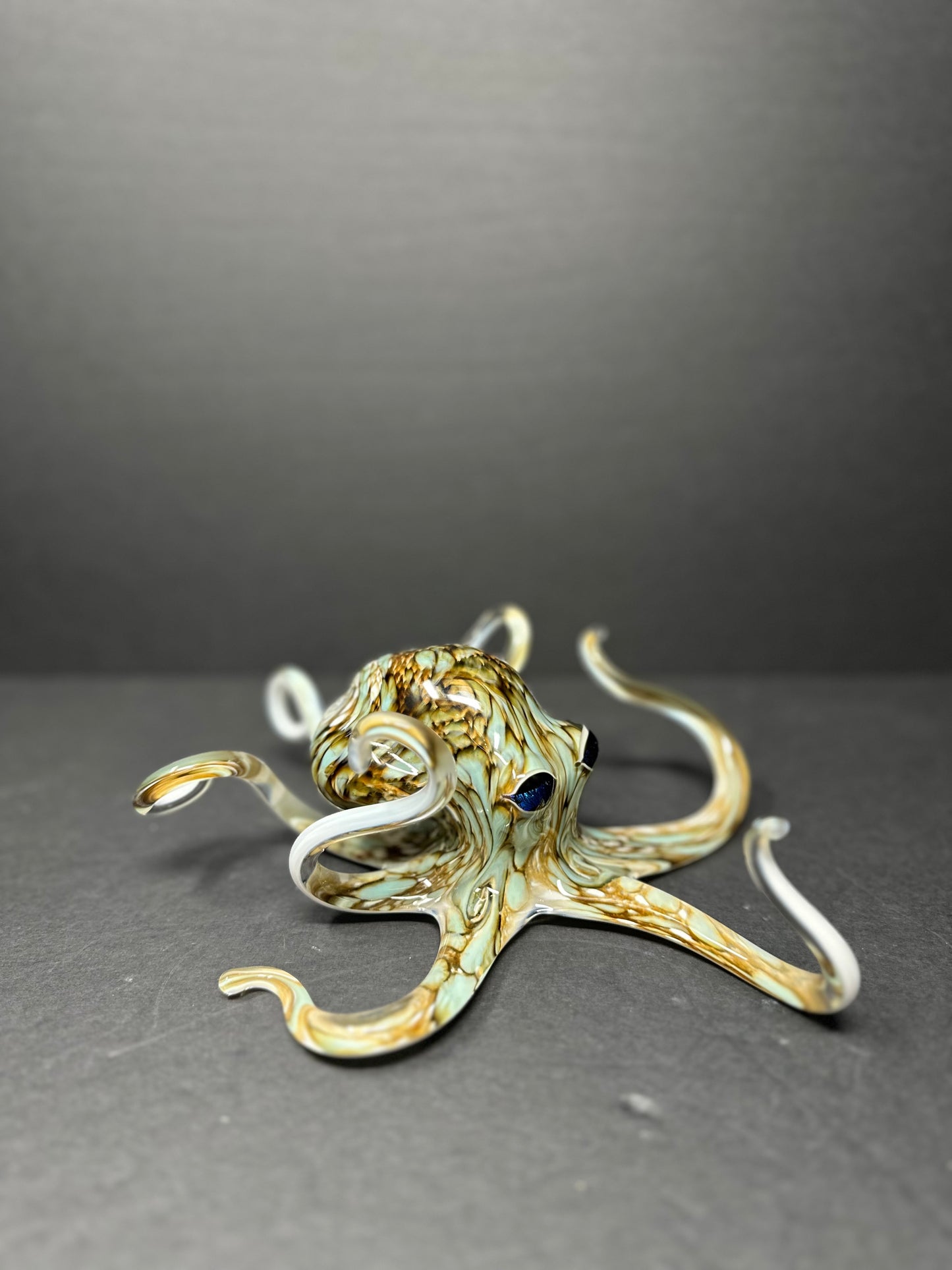 Aqua Grey Octopus
