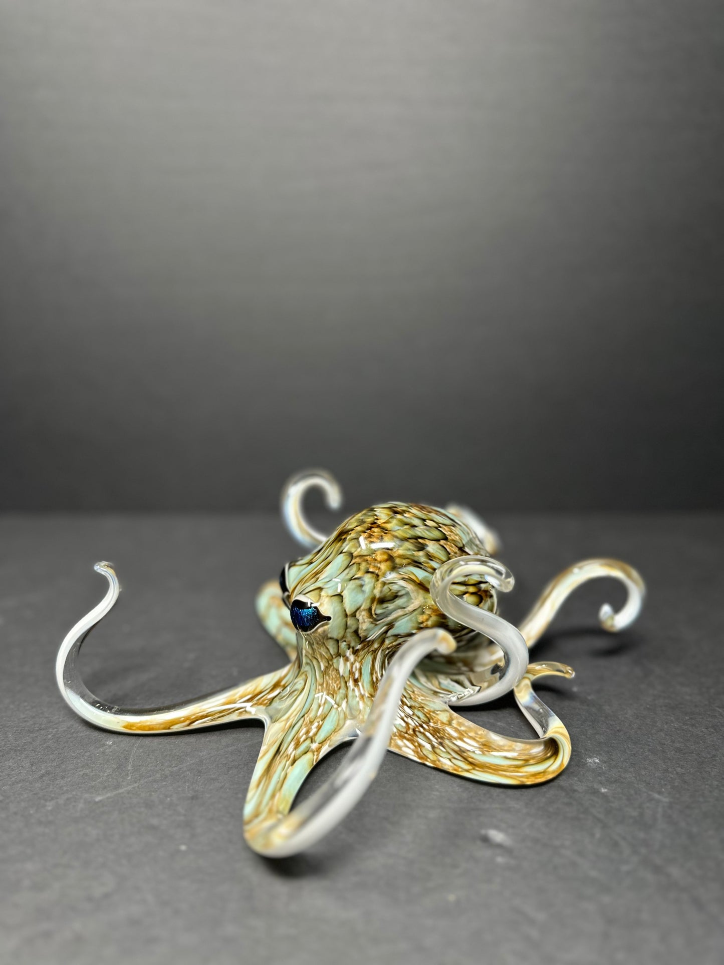 Aqua Grey Octopus