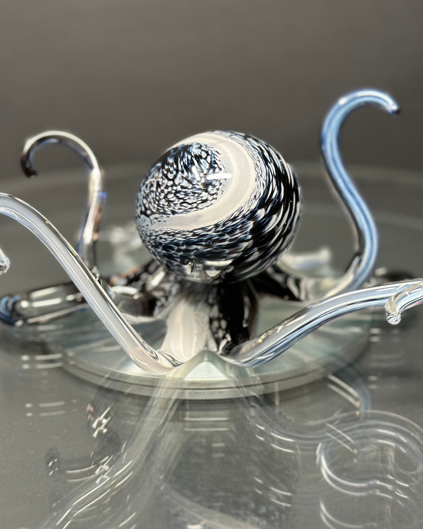 Black & White Octopus