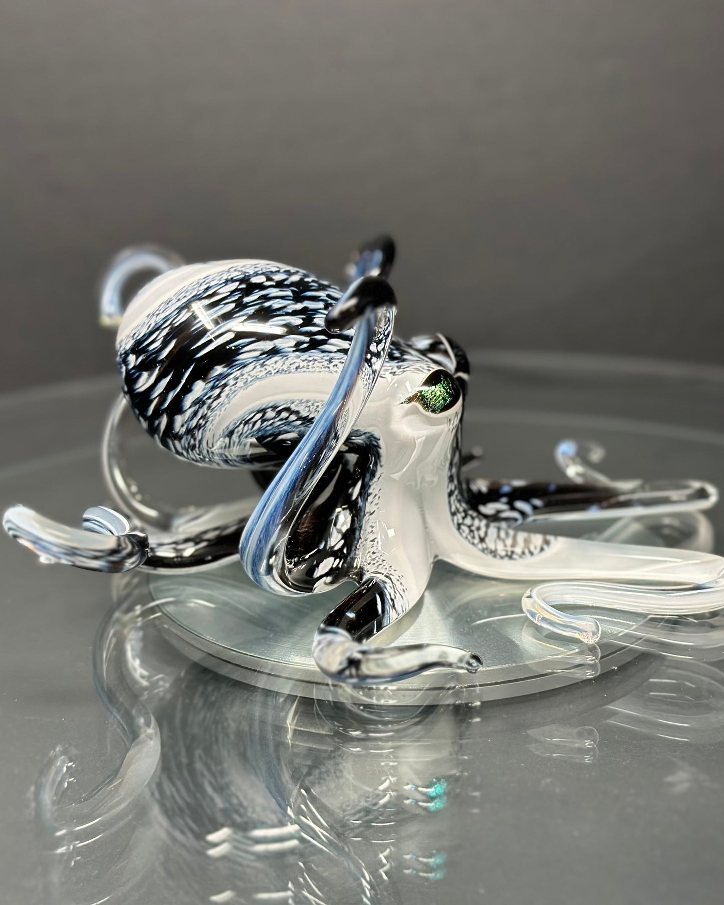 Black & White Octopus