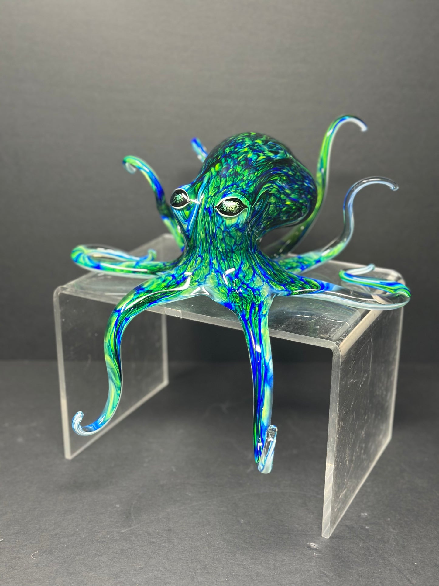 Blue Green Octopus