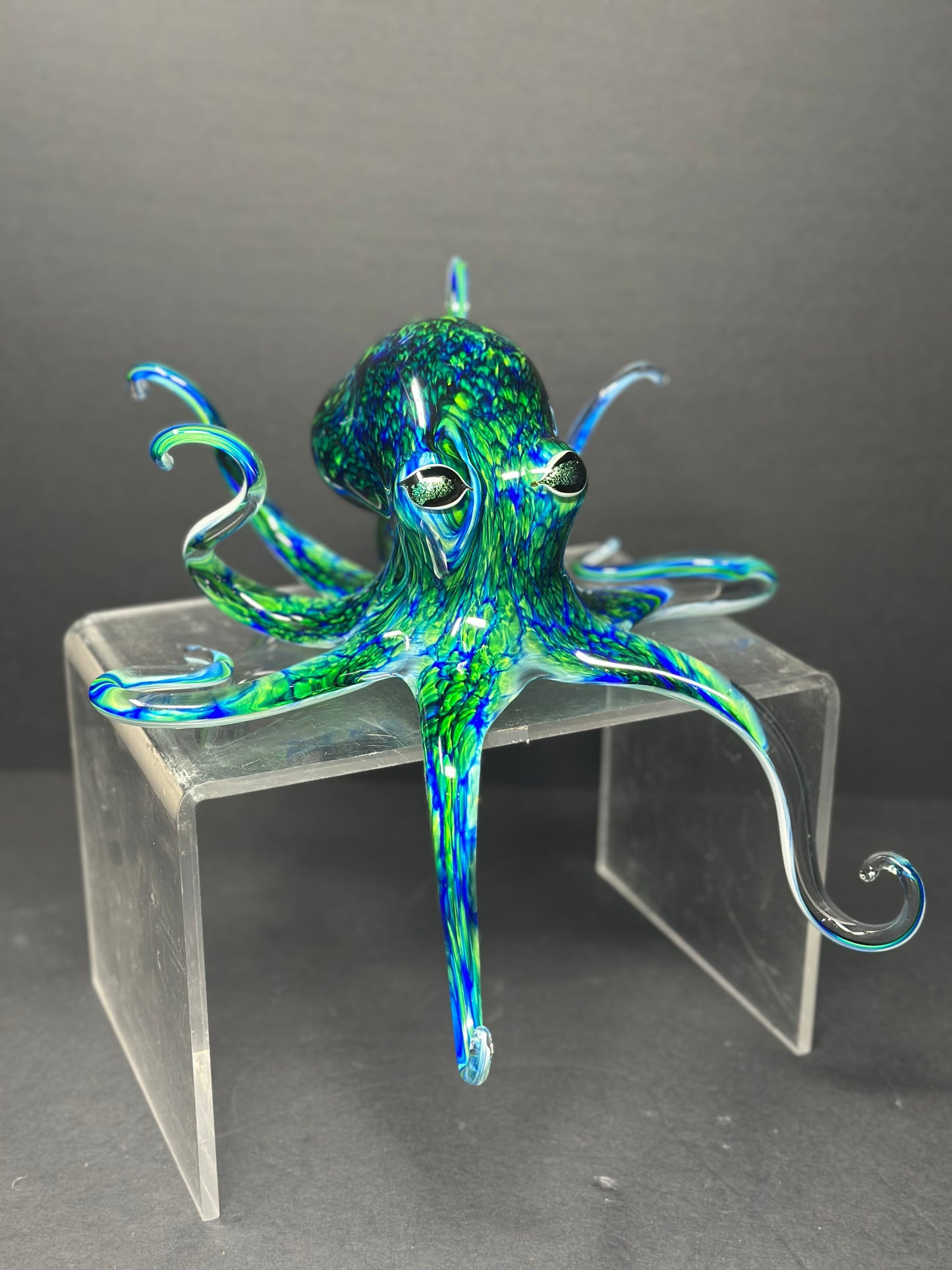 Blue Green Octopus