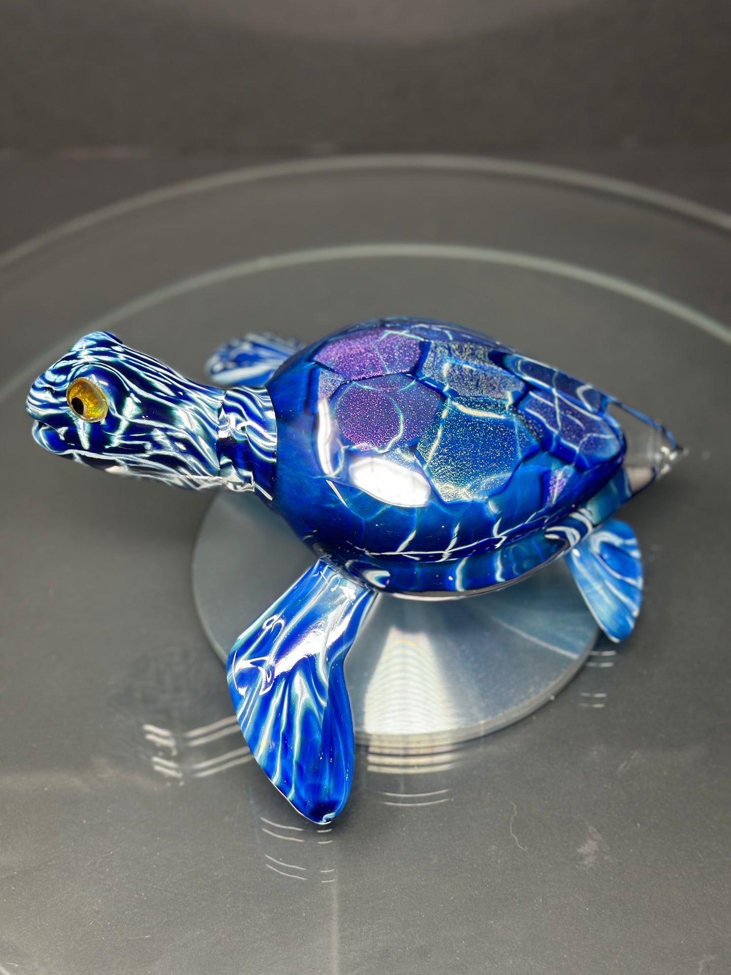 Blue Sea Turtle
