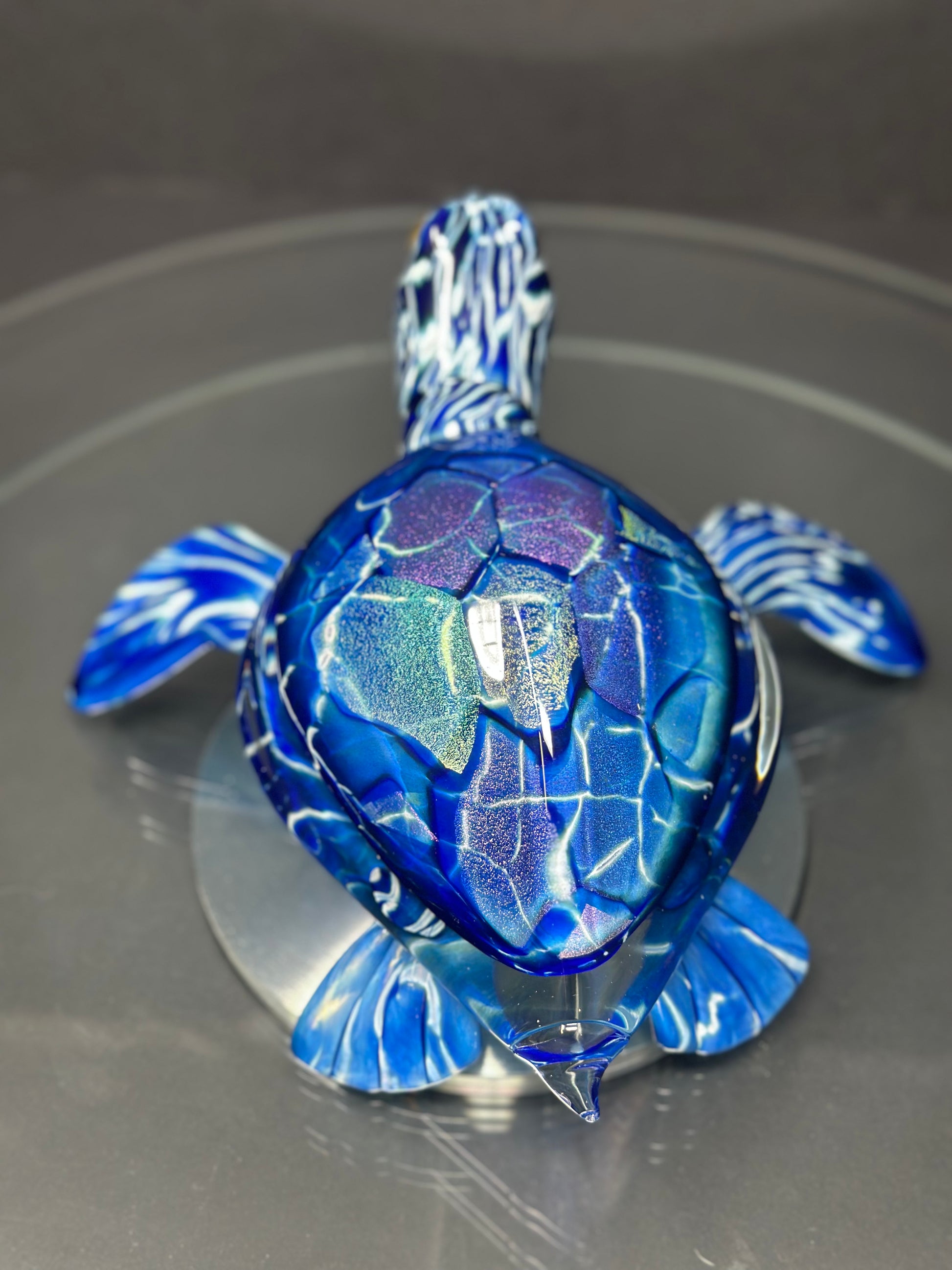 Pr Blue Turtle Blue Sea Turtle – Hopko Art Glass