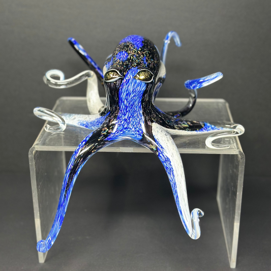 Blue Tang Octopus