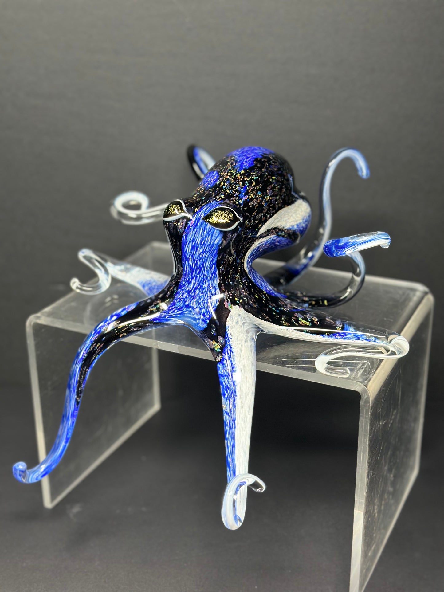 Blue Tang Octopus