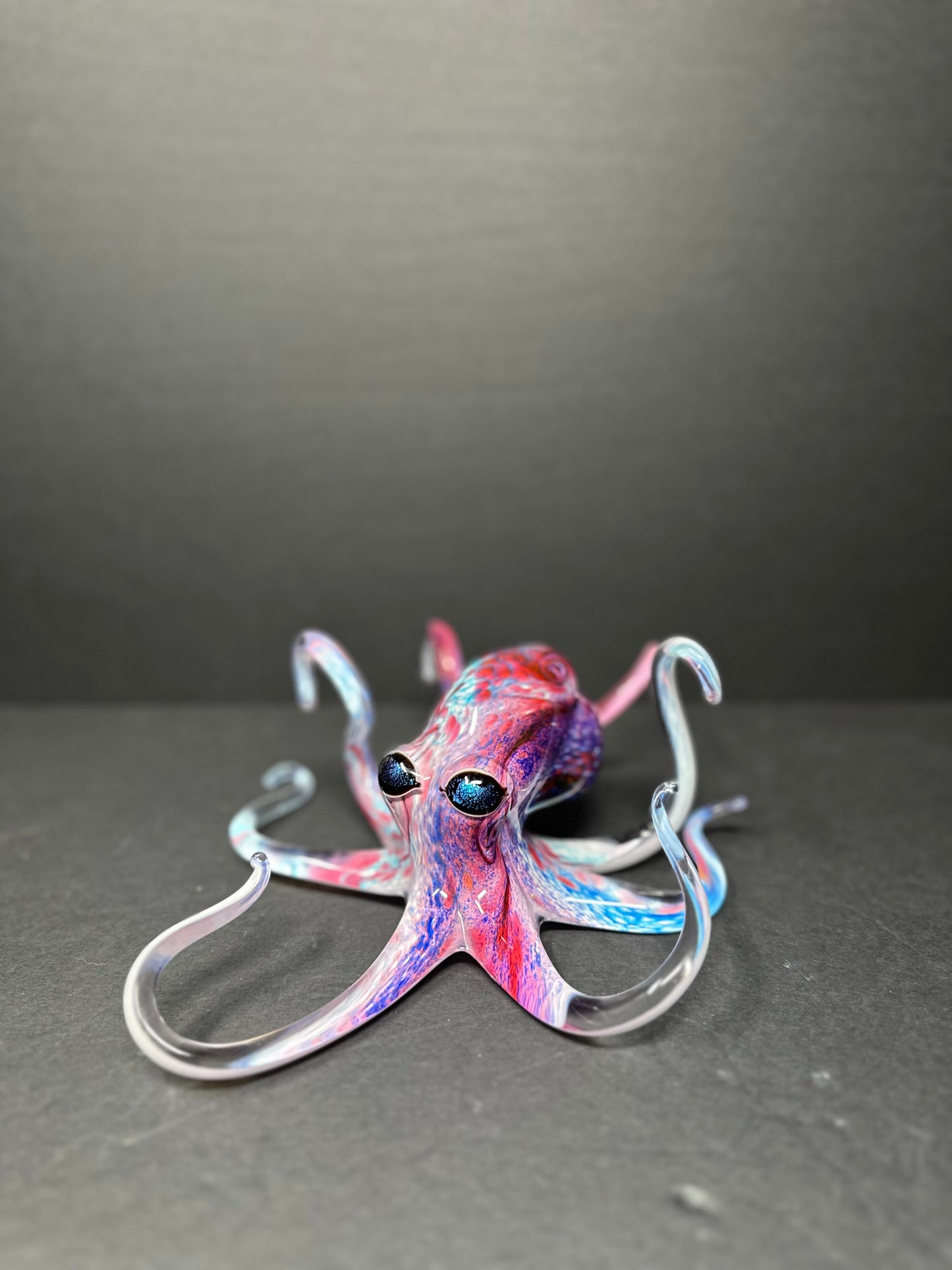Cotton Candy Swirl Octopus