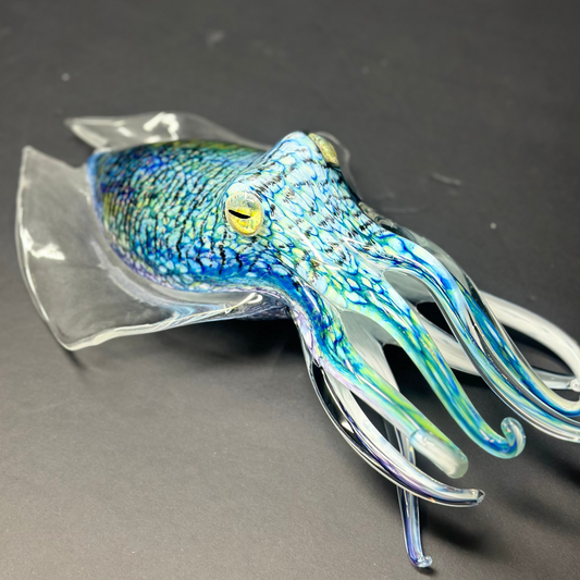 Cuttlefish
