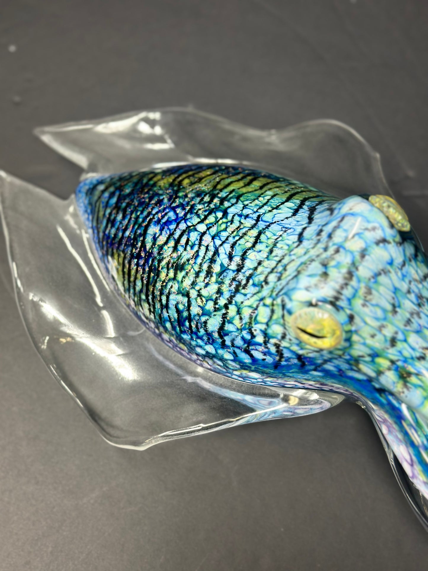 Cuttlefish