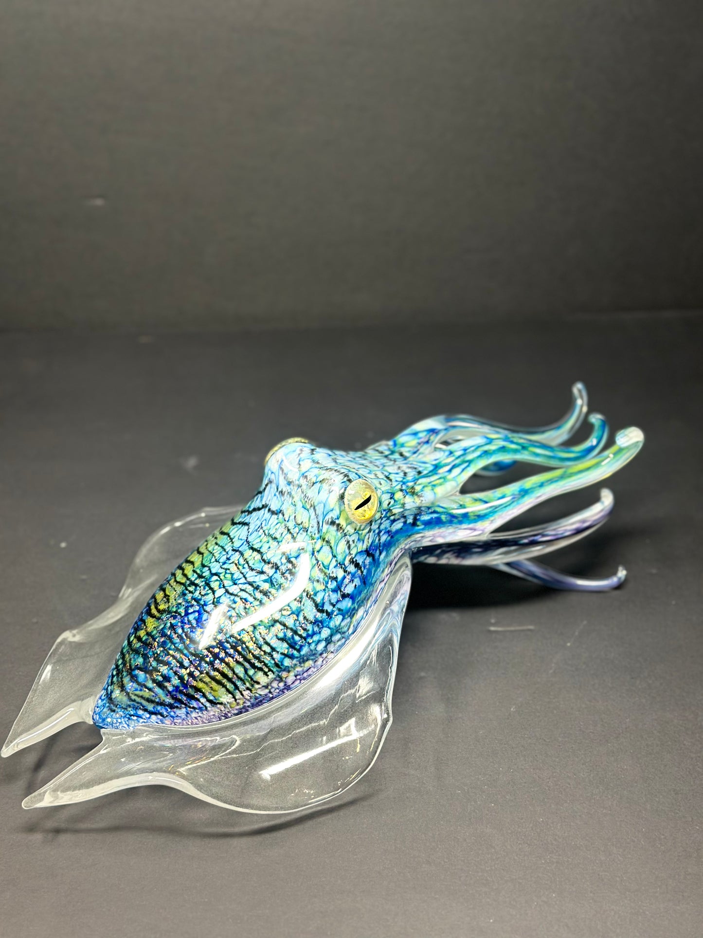 Cuttlefish