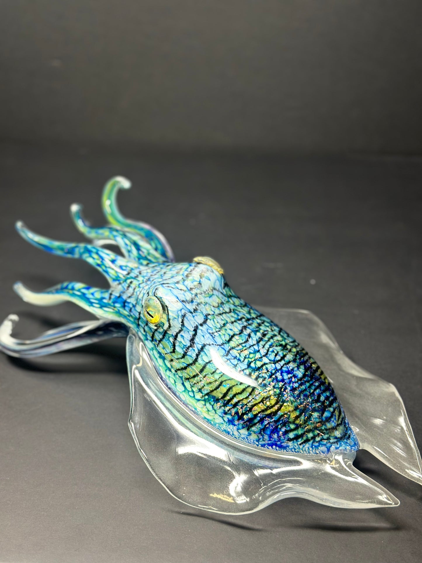 Cuttlefish