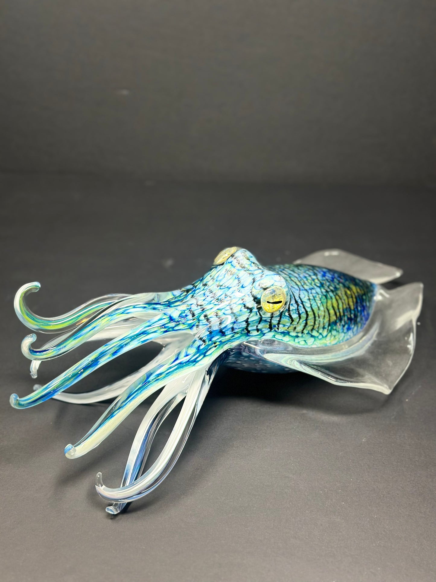Cuttlefish