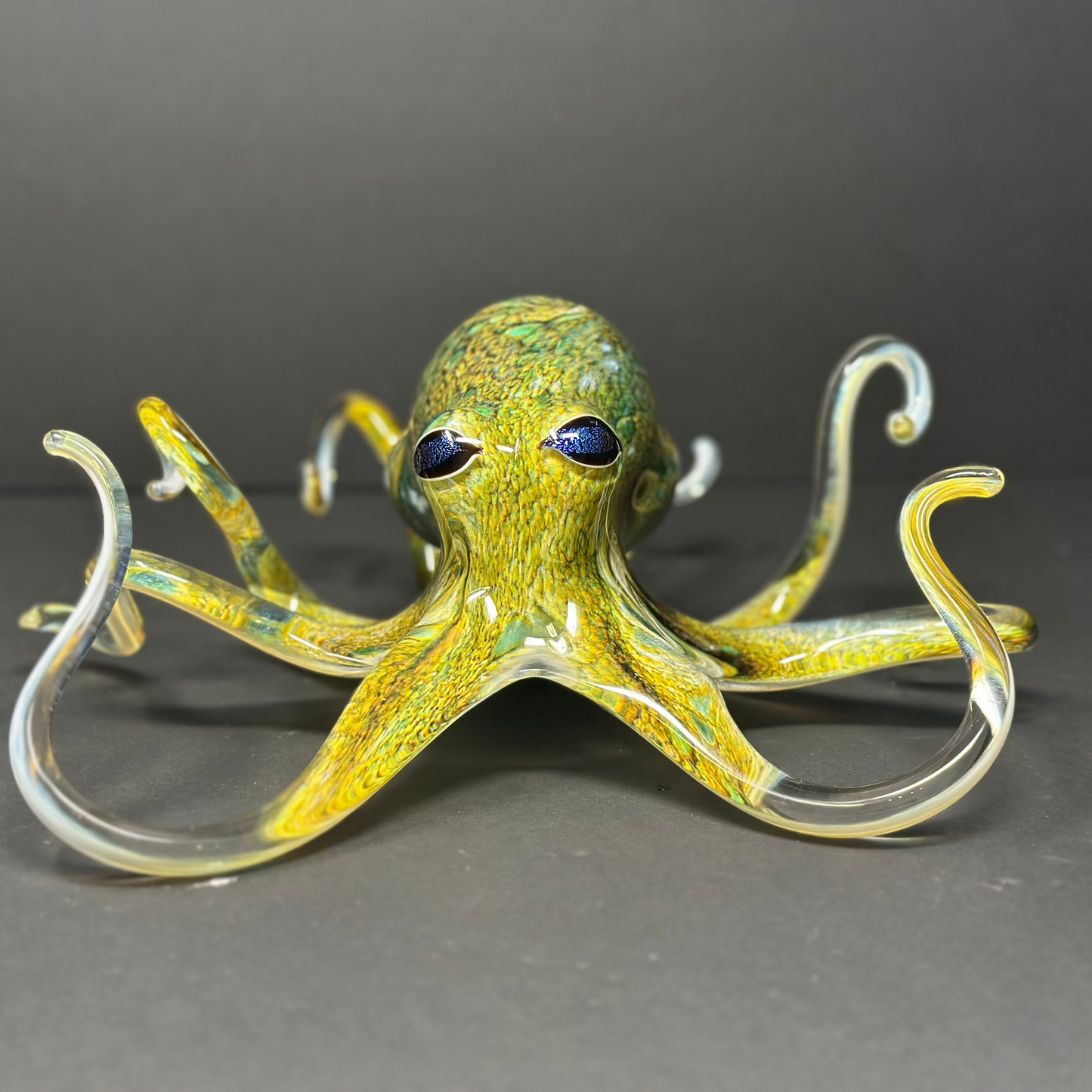 Earth Tones Octopus
